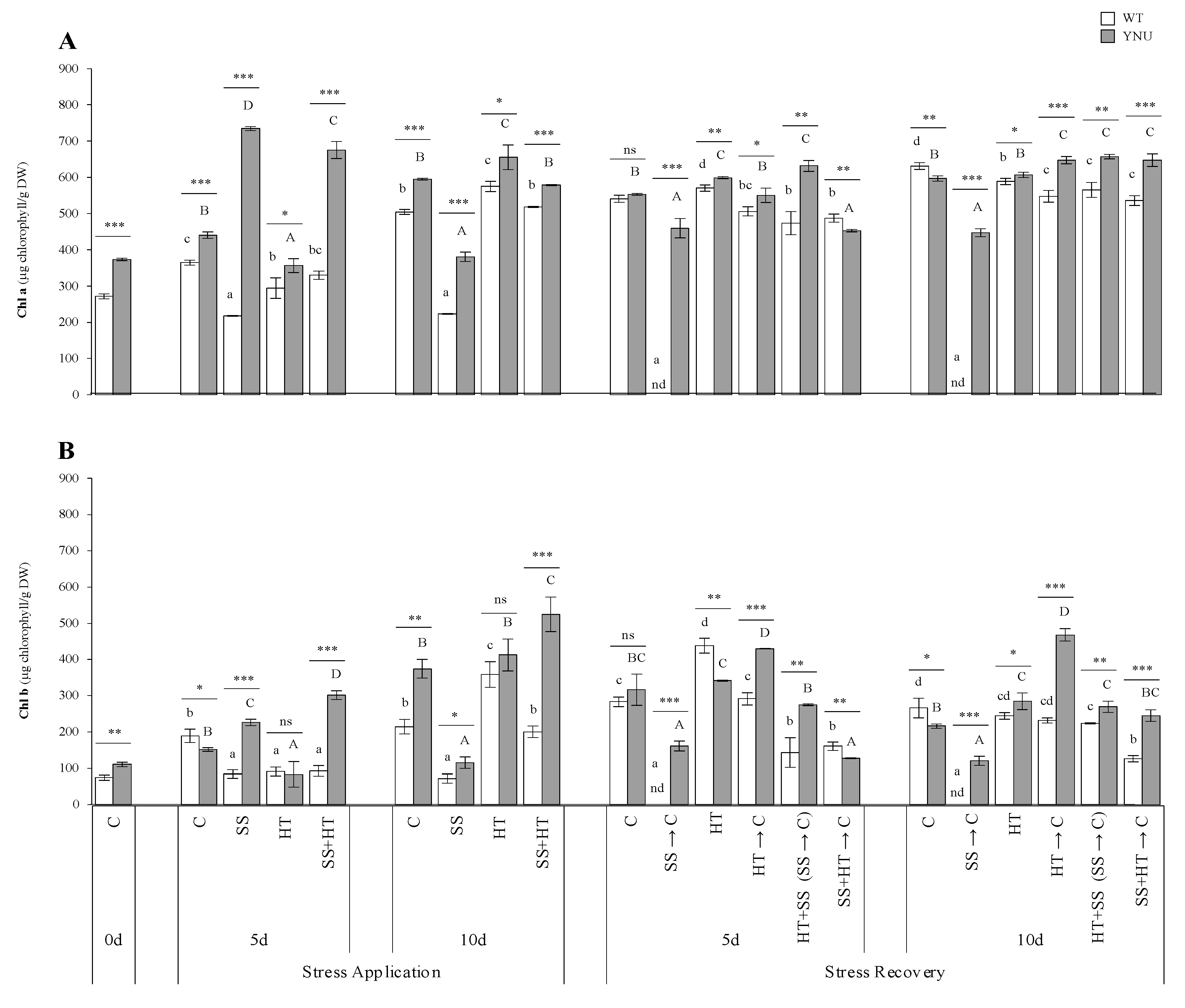 Plants 11 00501 g002