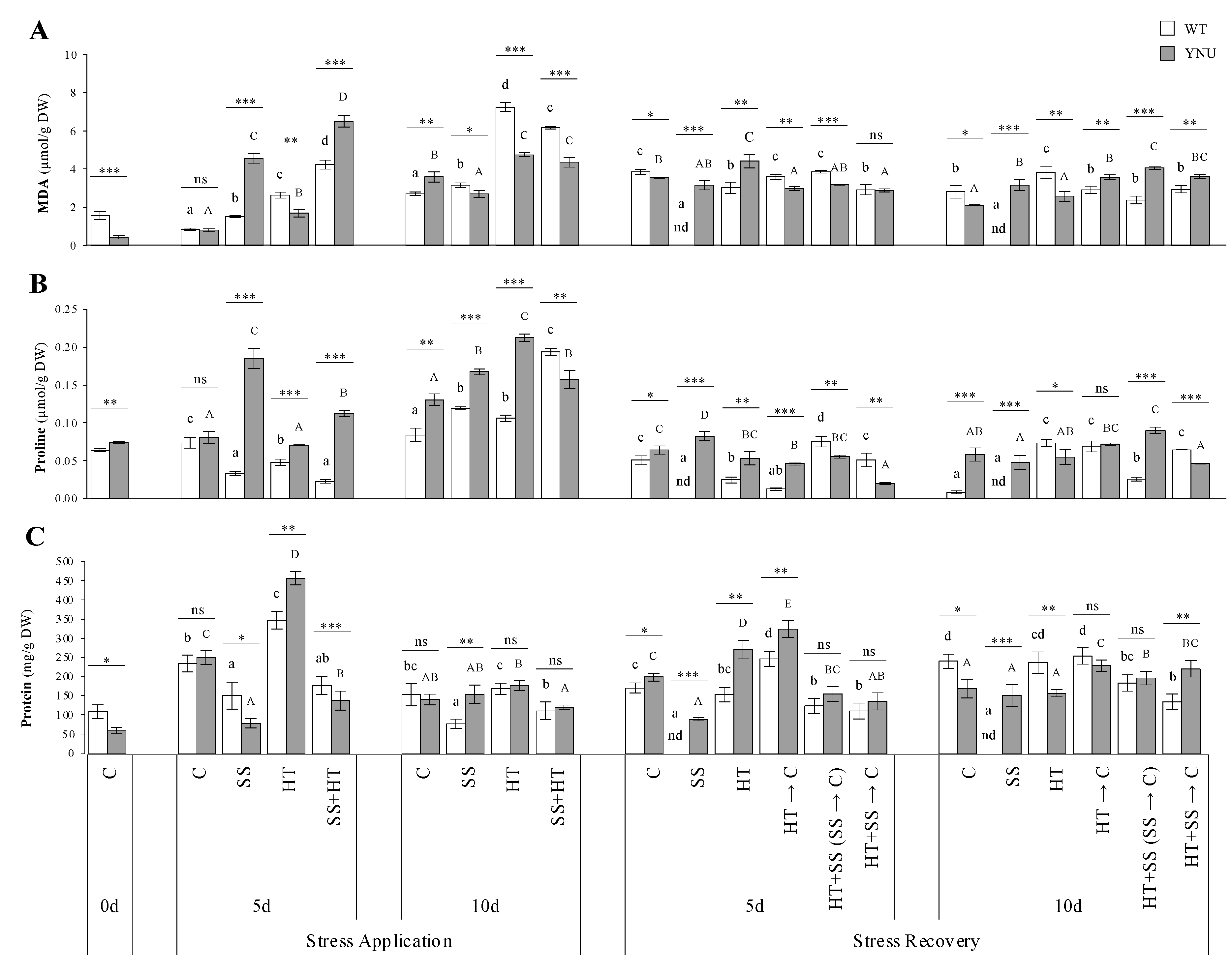 Plants 11 00501 g004