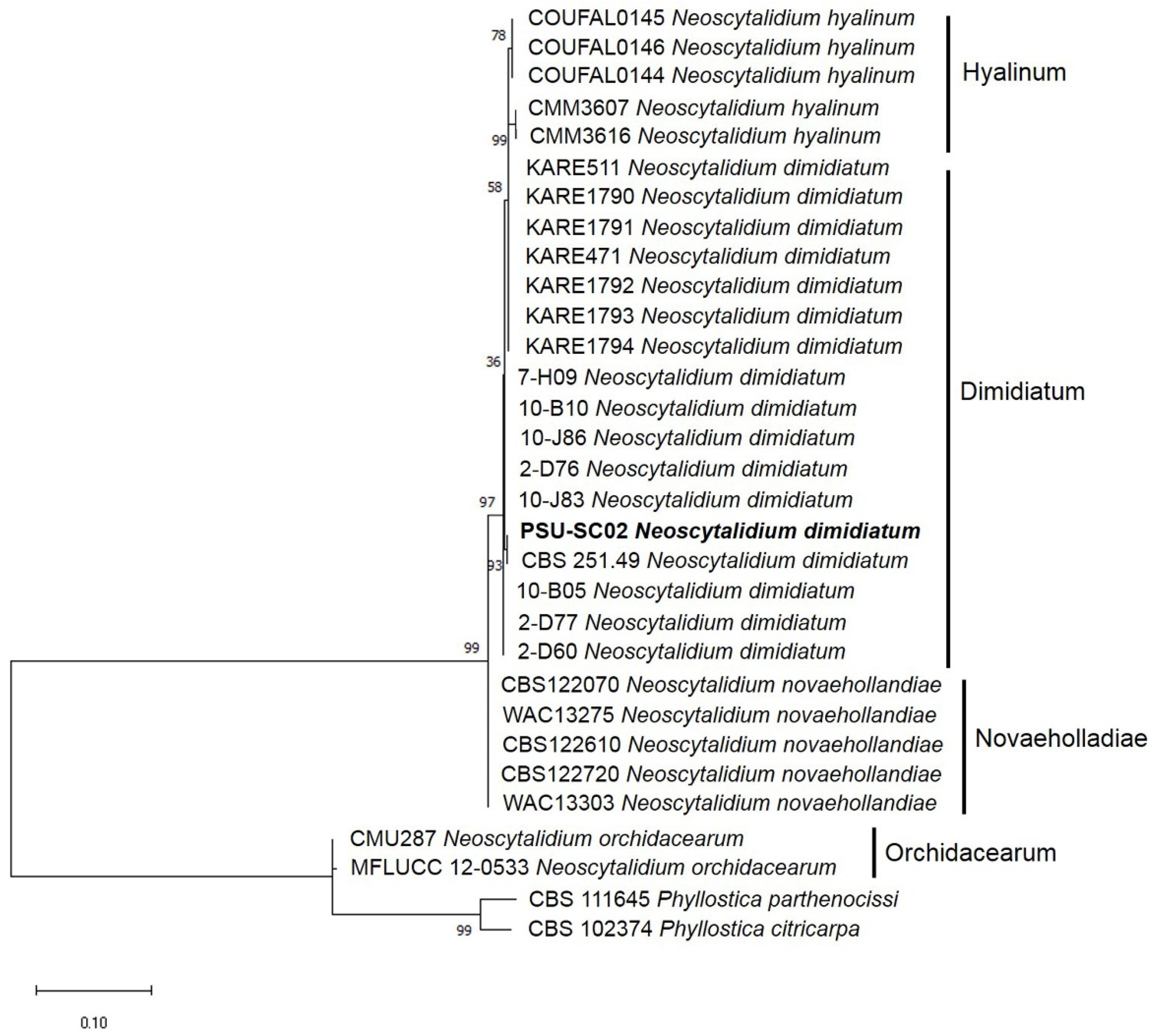 Plants 11 00504 g003 550