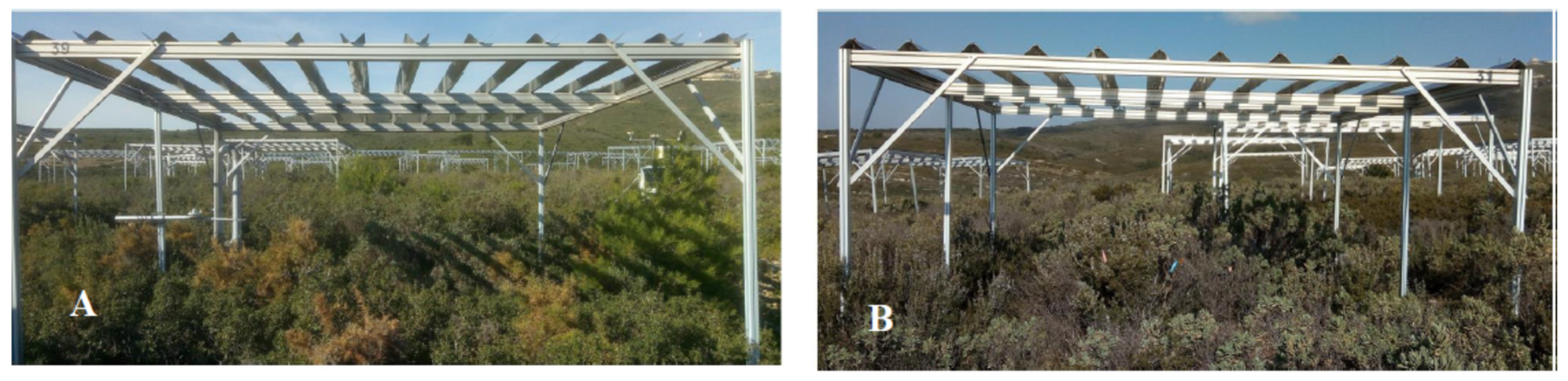 Plants 11 00505 g001