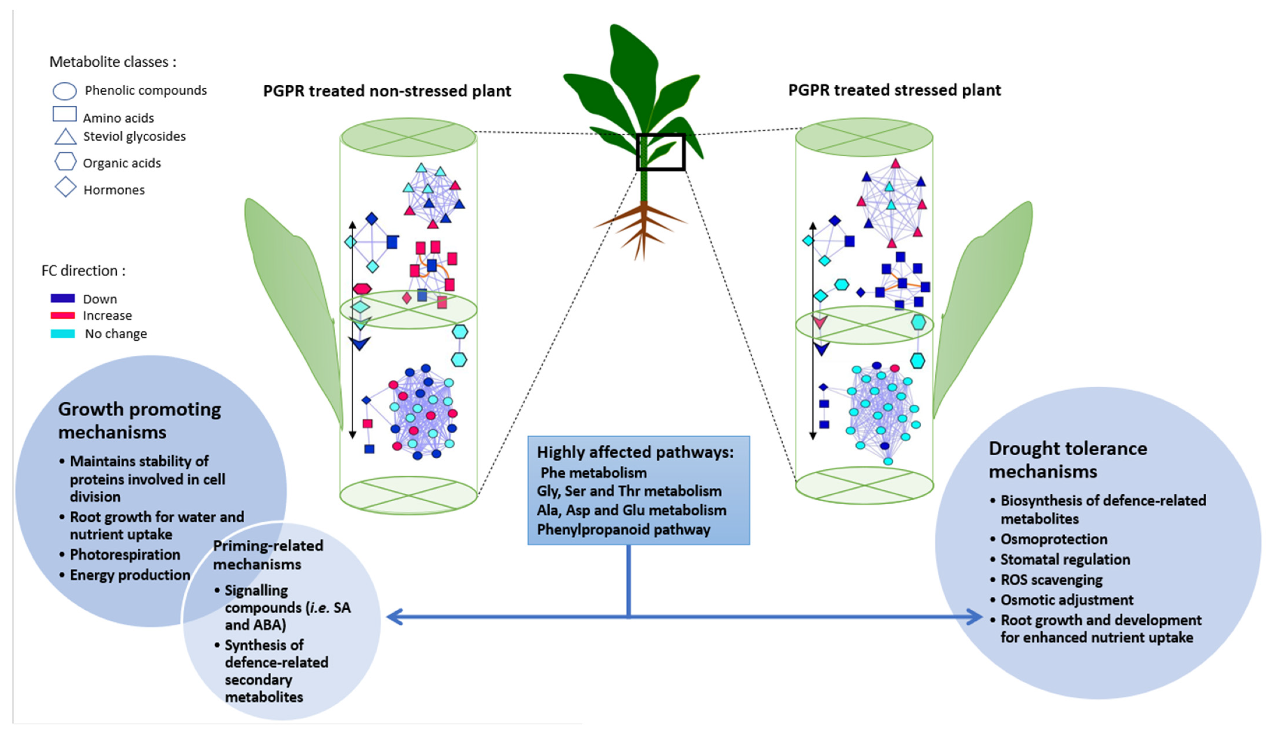 Plants 11 00510 g008