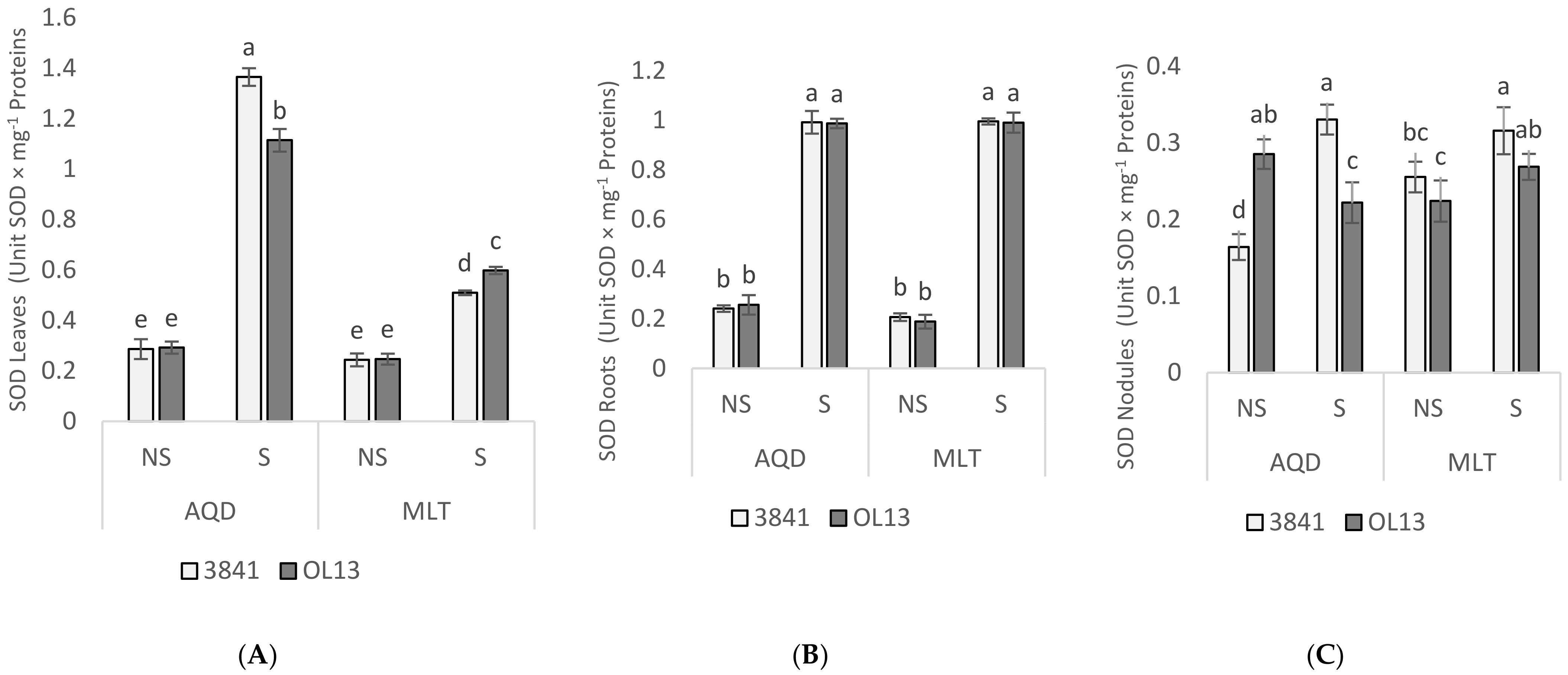 Plants 11 00515 g006 Plants 11 00515 g006