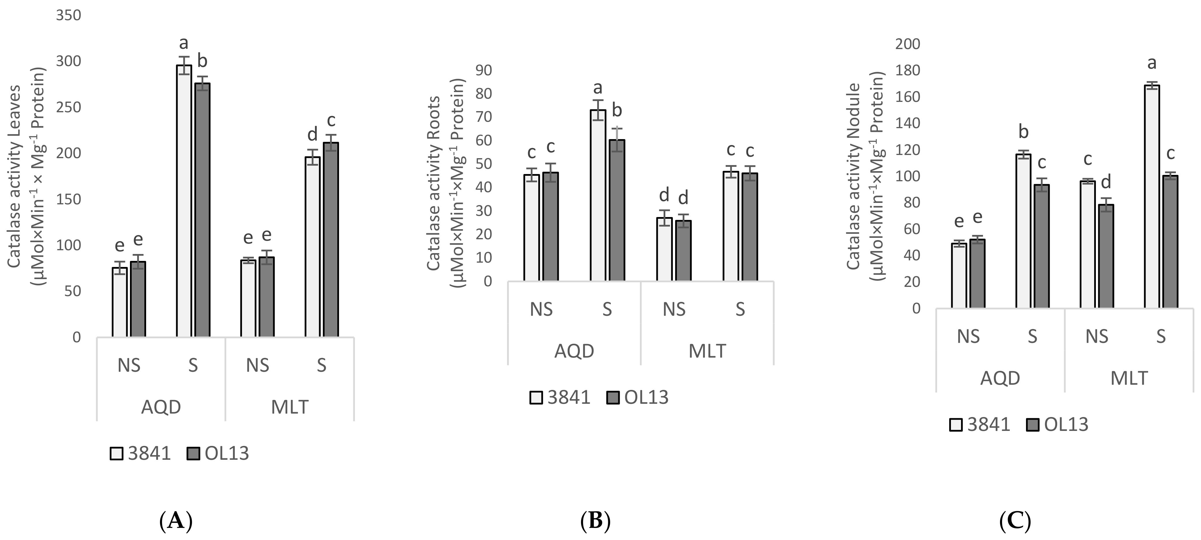 Plants 11 00515 g007 Plants 11 00515 g007