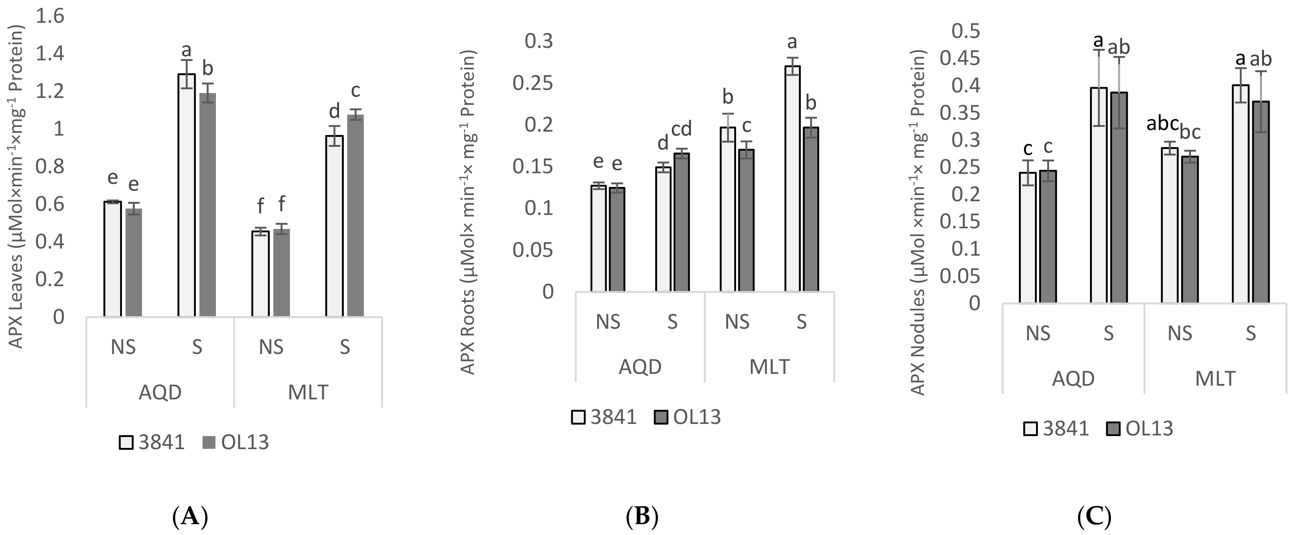 Plants 11 00515 g008 Plants 11 00515 g008