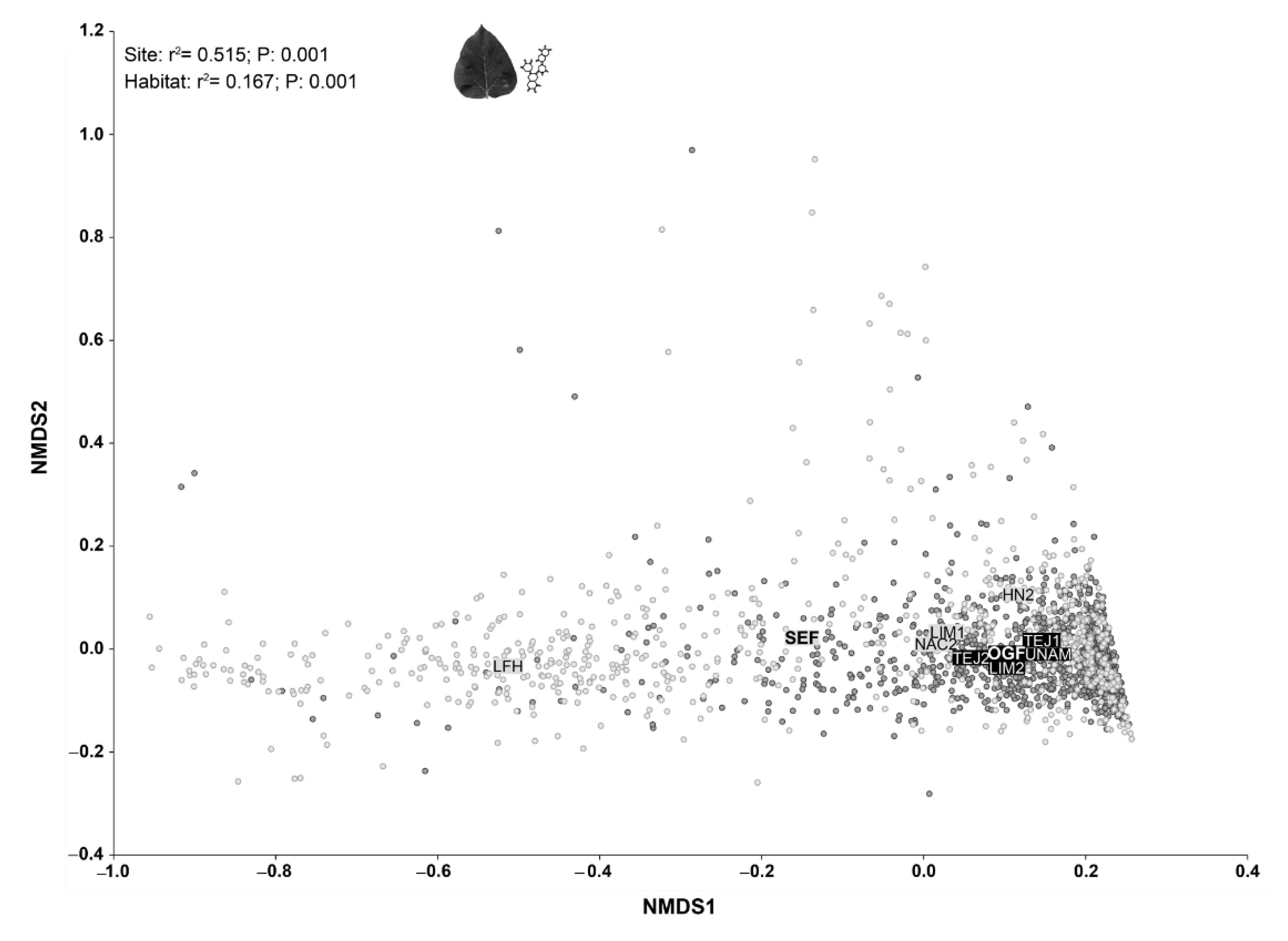 Plants 11 00516 g002