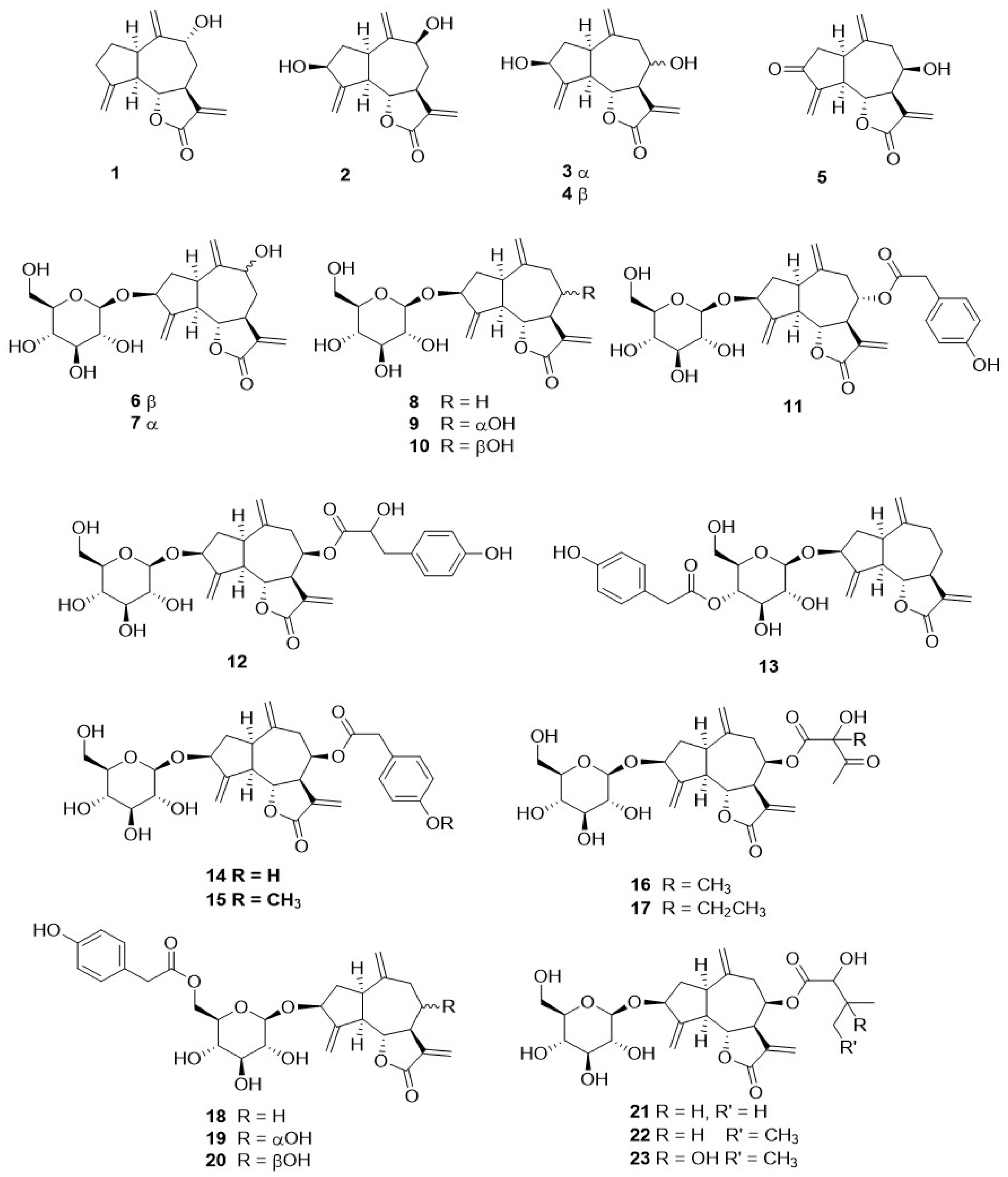 Plants 11 00519 g003 Plants 11 00519 g003