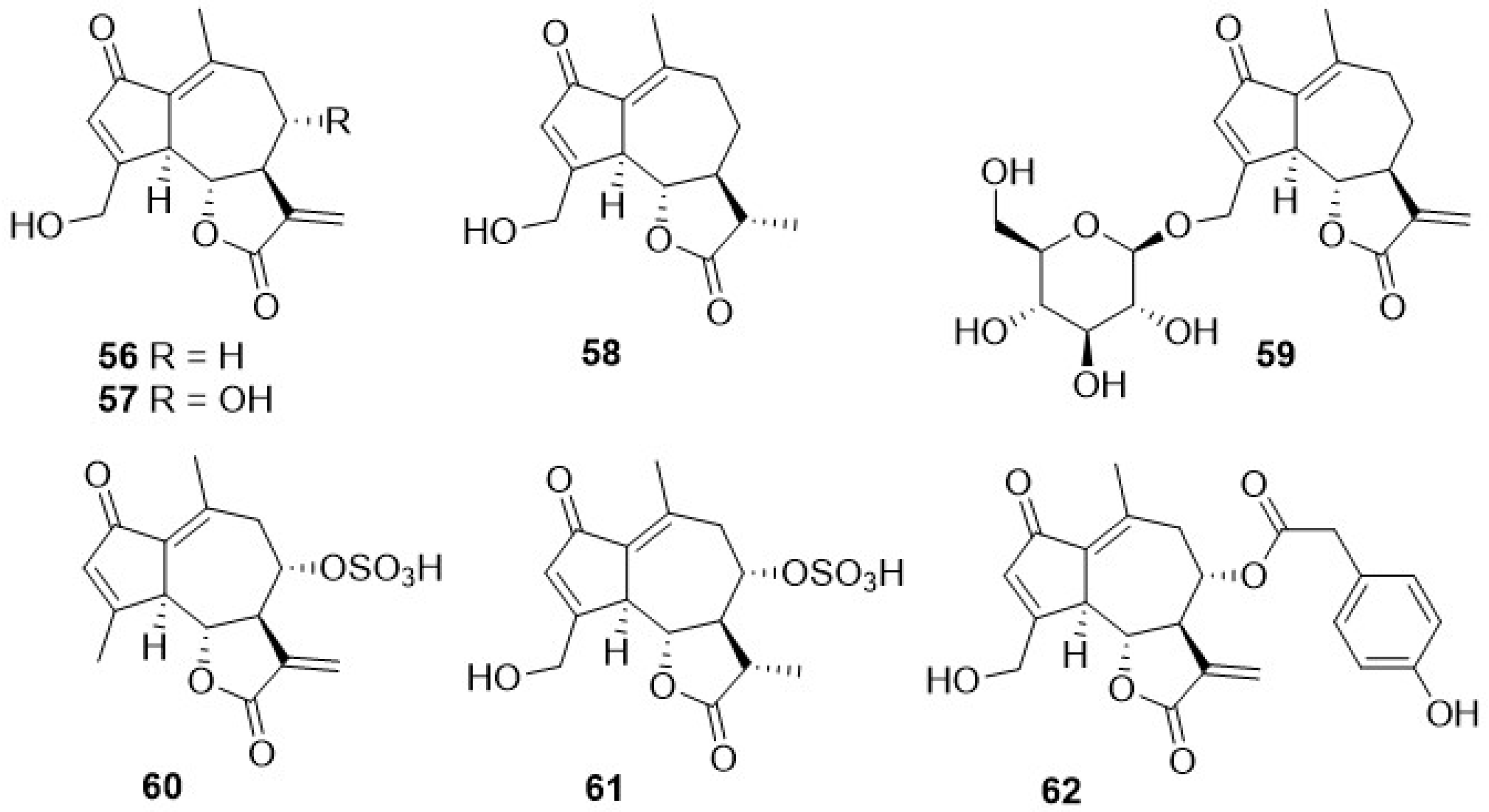 Plants 11 00519 g008 Plants 11 00519 g008