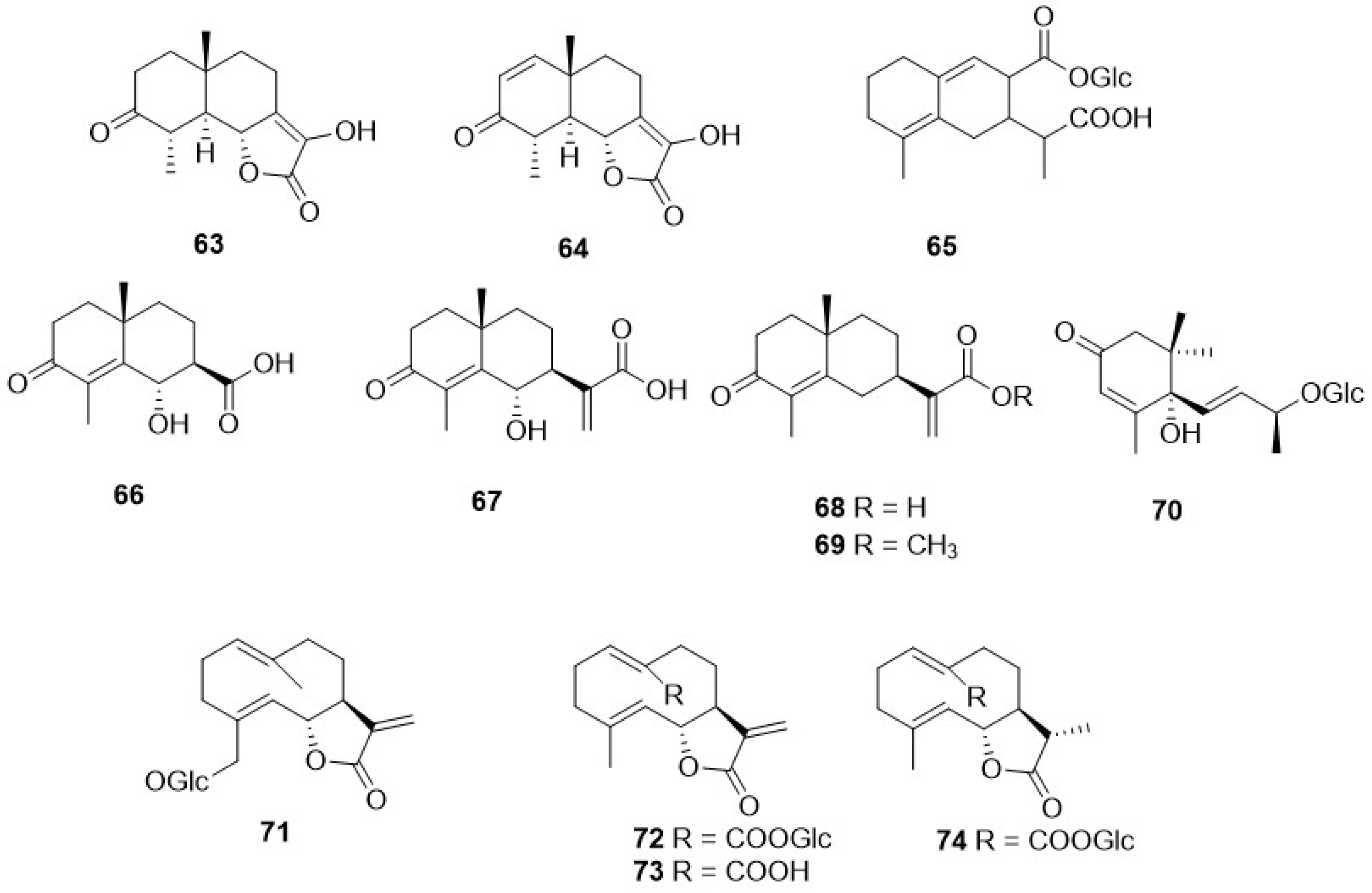 Plants 11 00519 g009 Plants 11 00519 g009