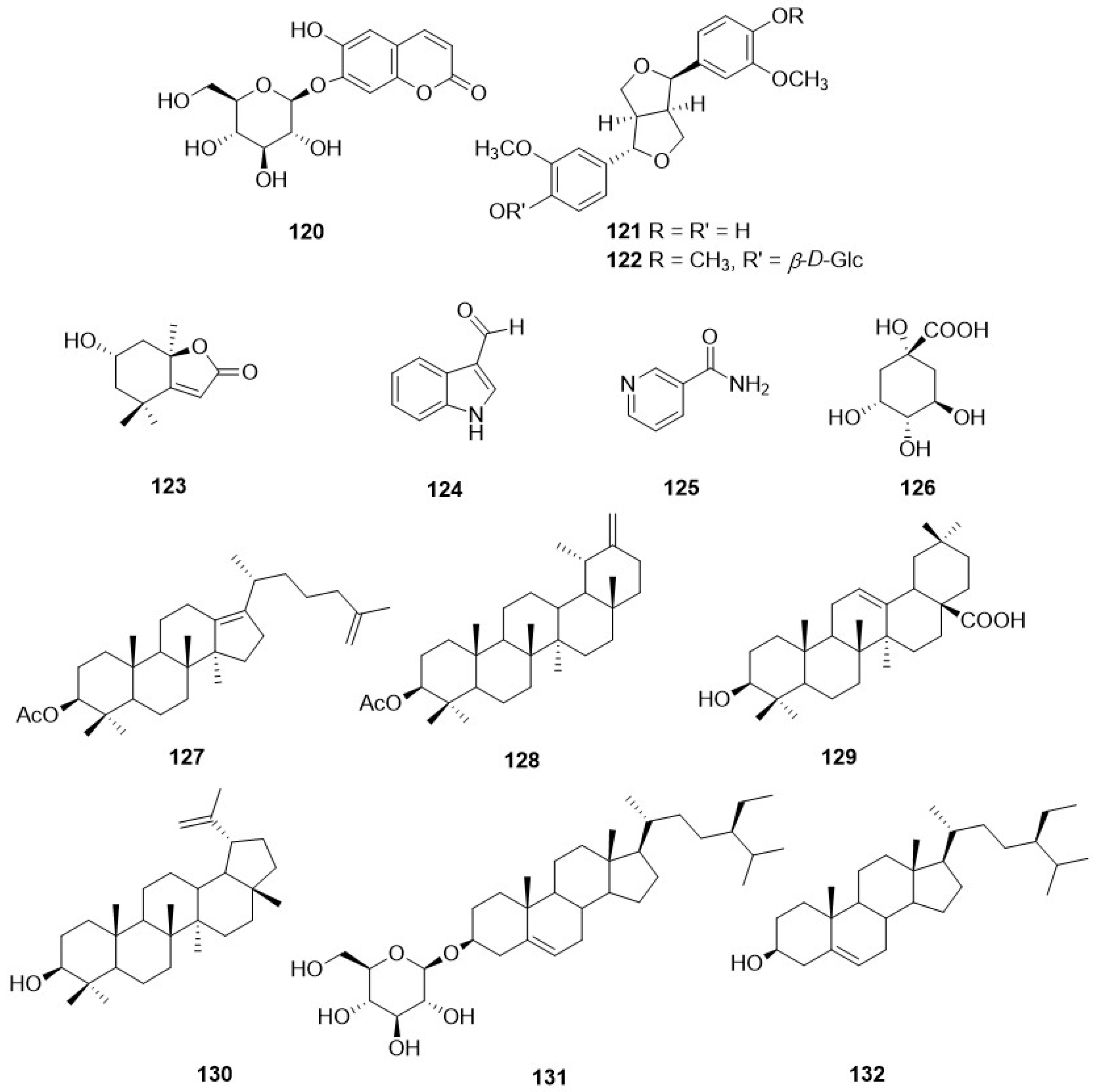 Plants 11 00519 g012 Plants 11 00519 g012