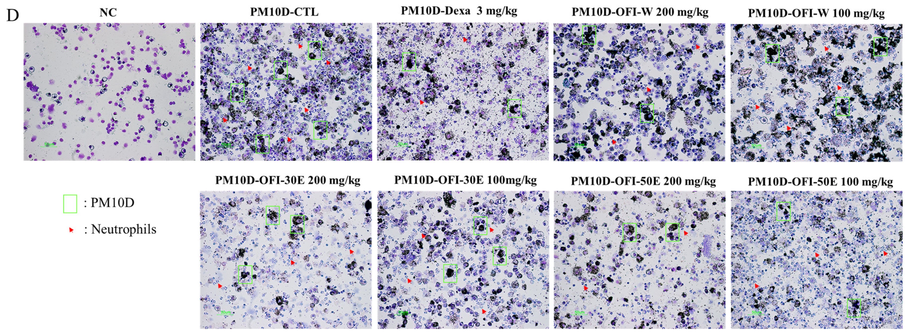 Plants 11 00520 g002b 550