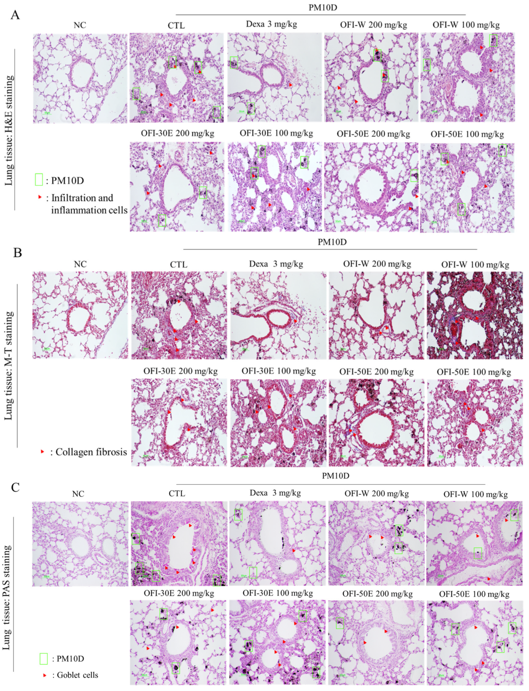 Plants 11 00520 g006a 550