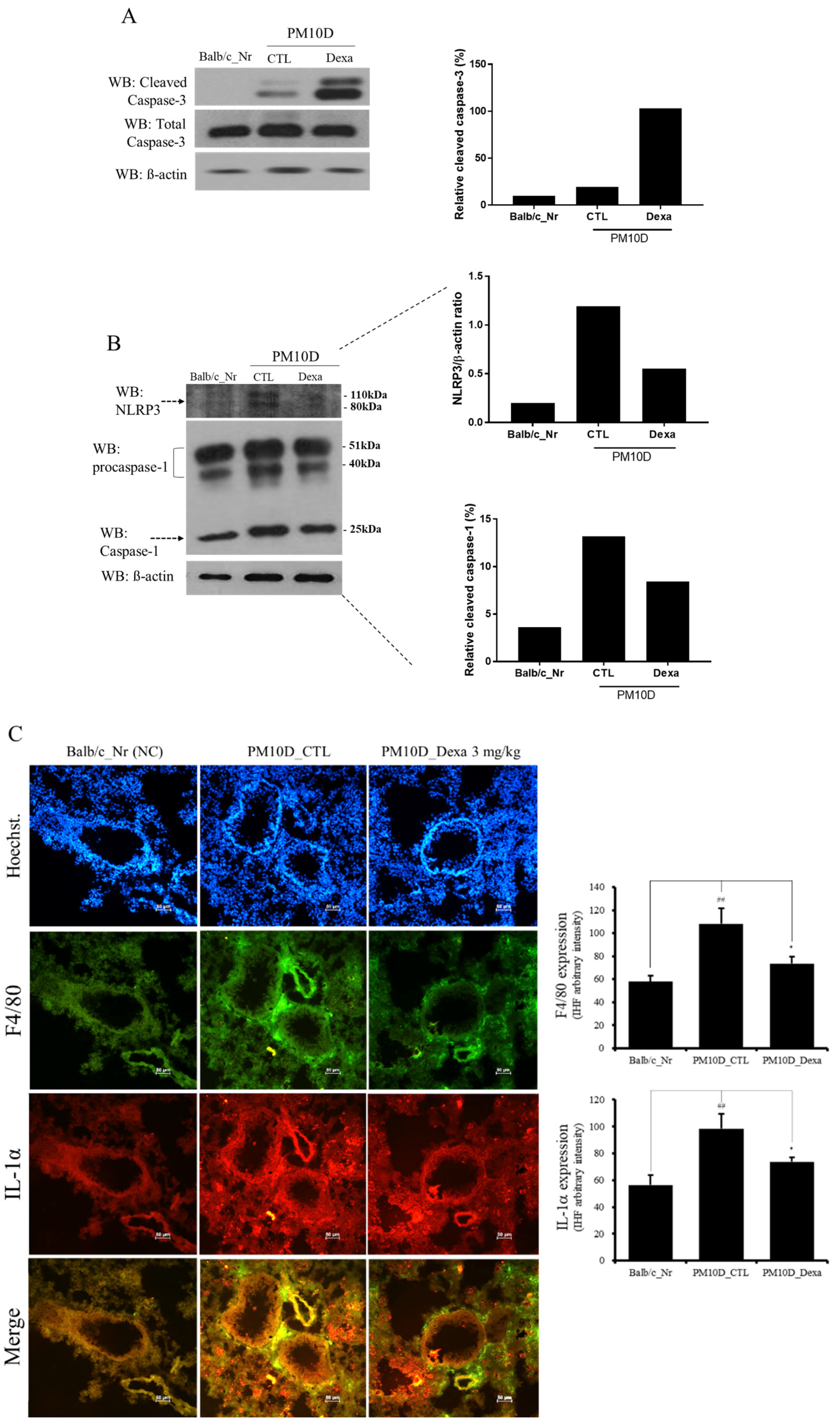 Plants 11 00520 g007 550