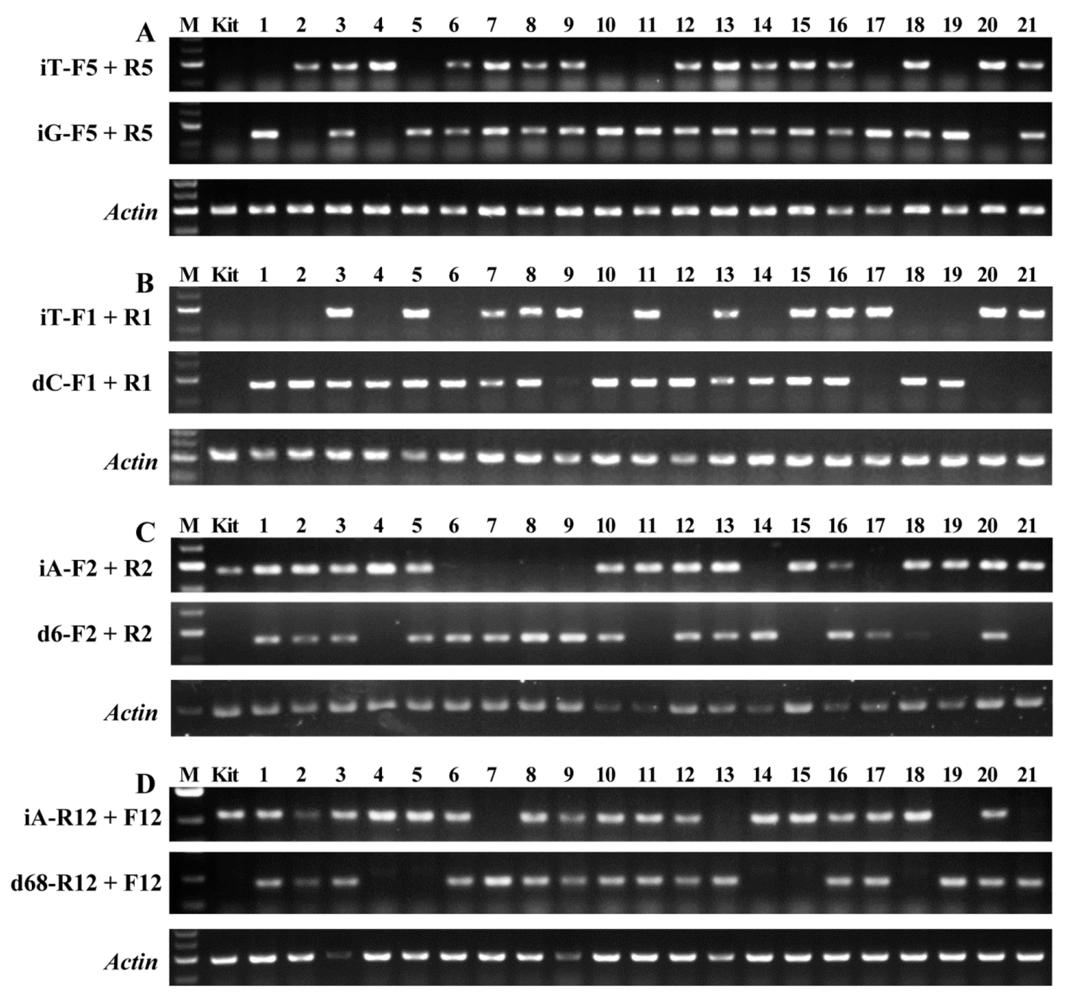 Plants 11 00524 g002