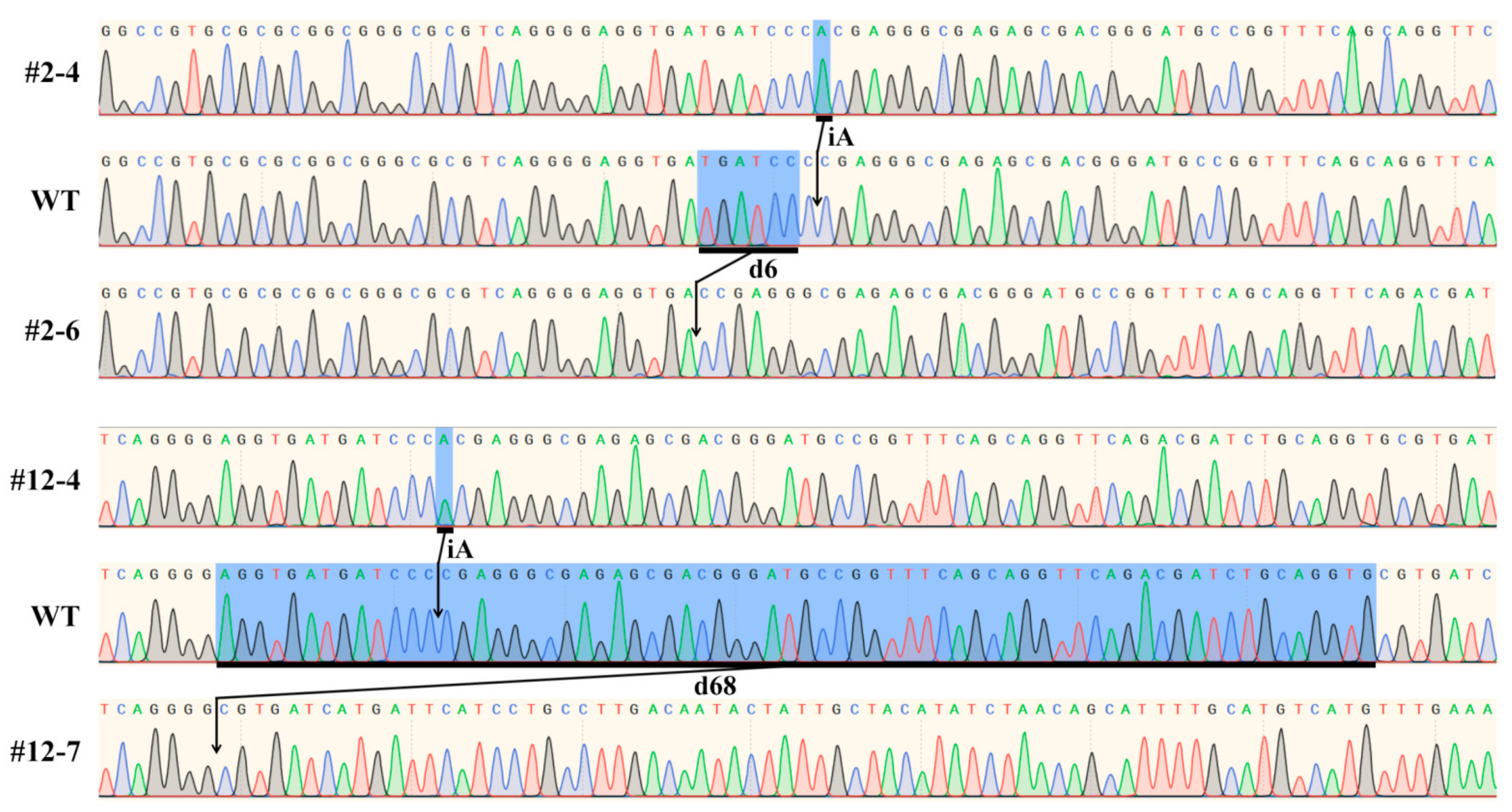 Plants 11 00524 g003