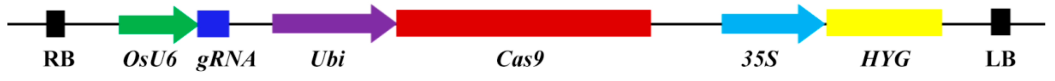 Plants 11 00524 g005