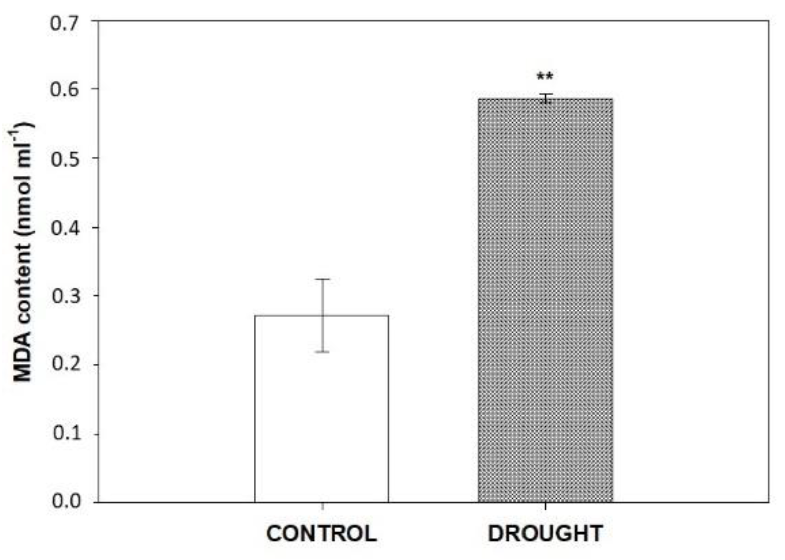 Plants 11 00527 g001 Plants 11 00527 g001