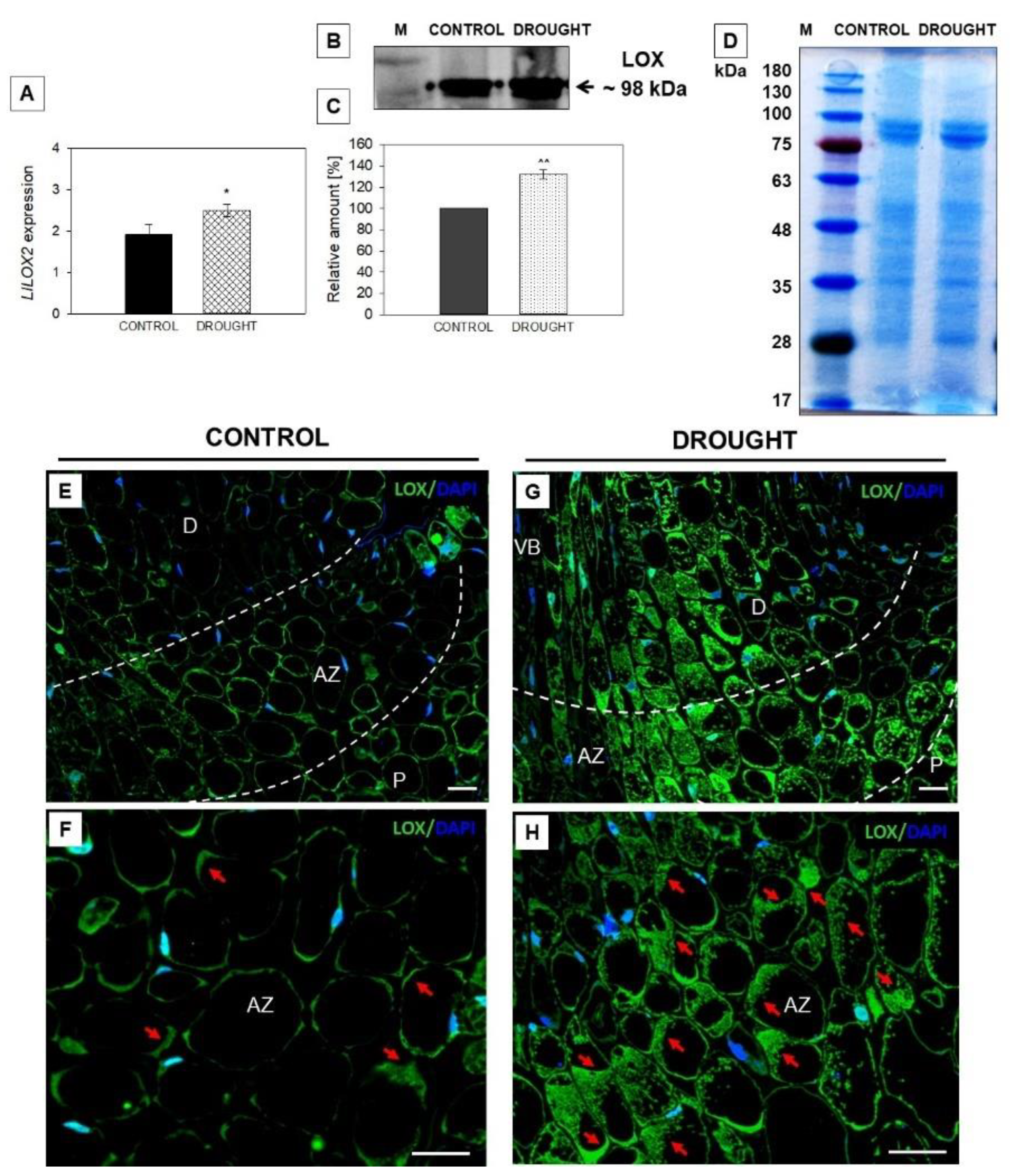 Plants 11 00527 g003 Plants 11 00527 g003