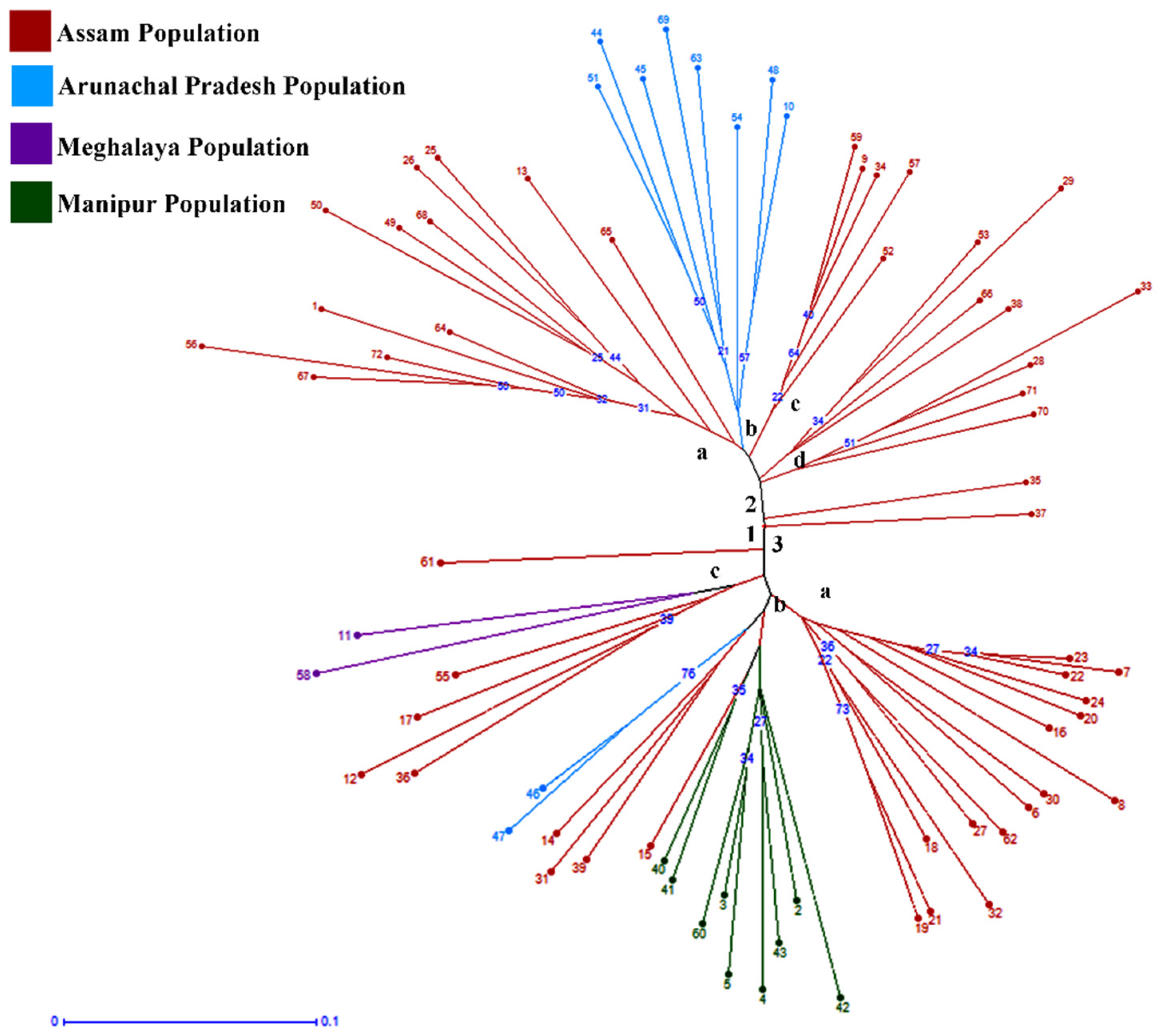 Plants 11 00528 g002