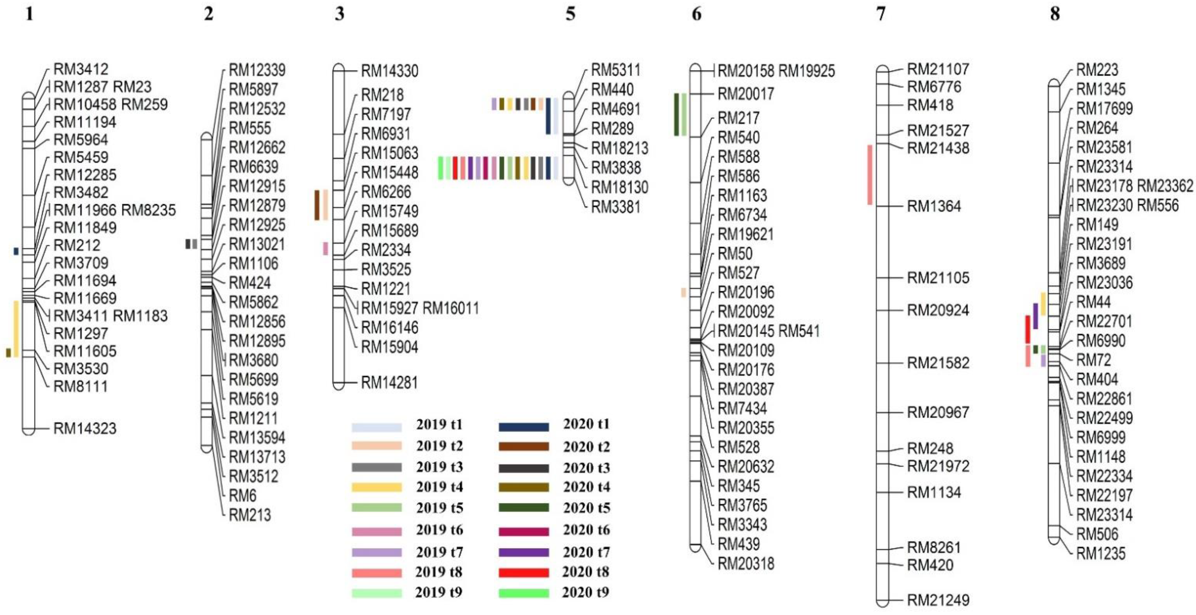 Plants 11 00538 g005