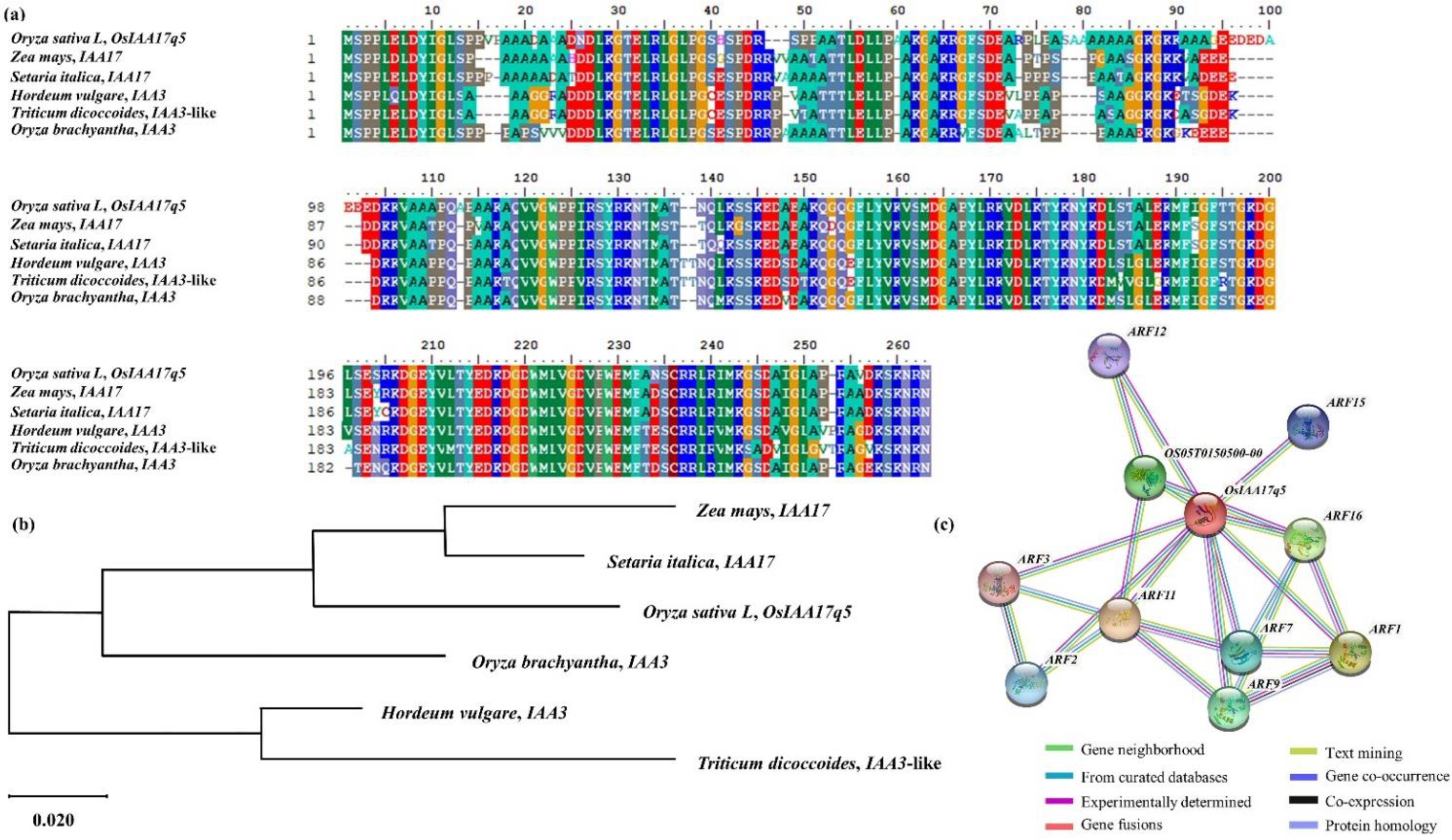 Plants 11 00538 g008
