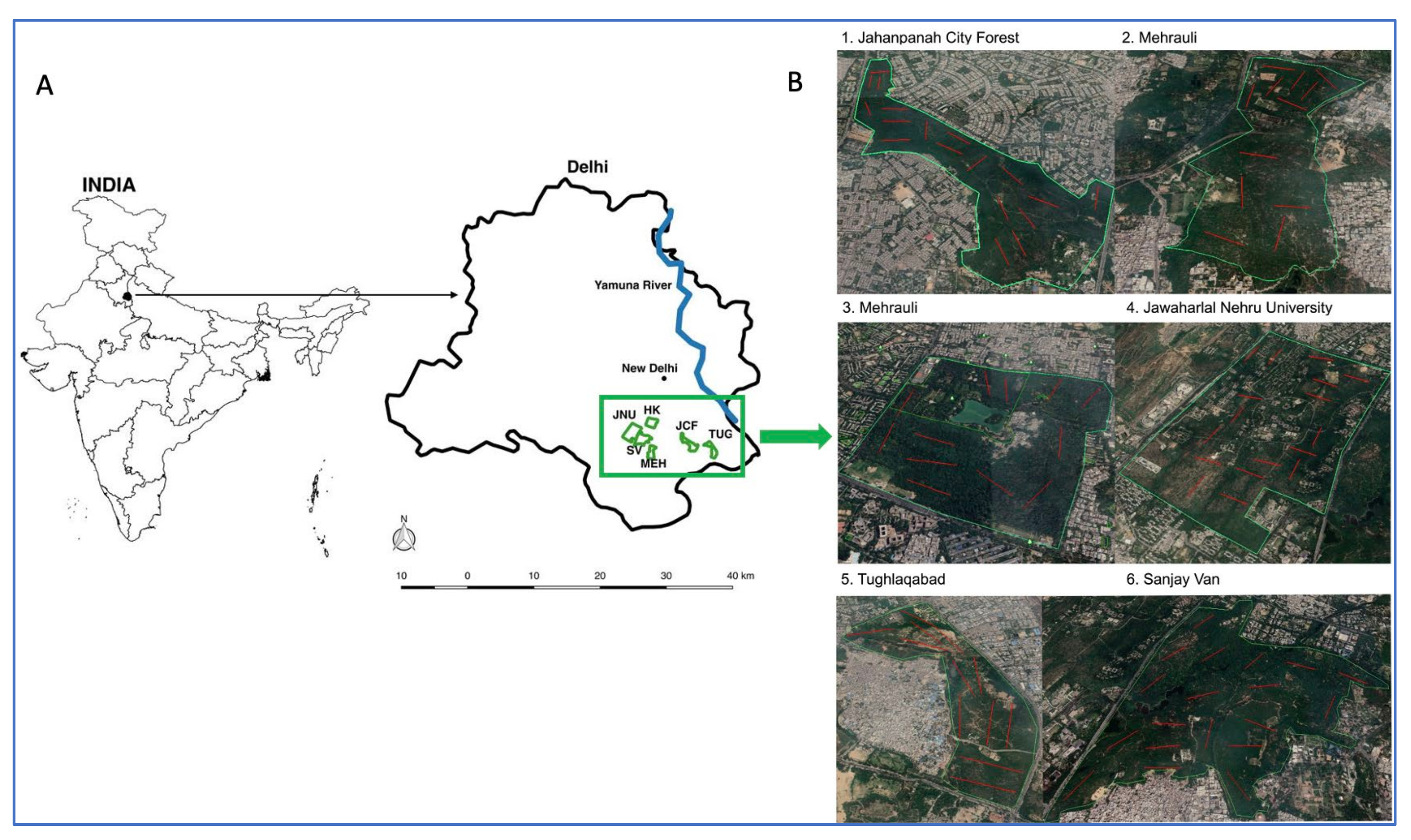 Plants 11 00541 g001
