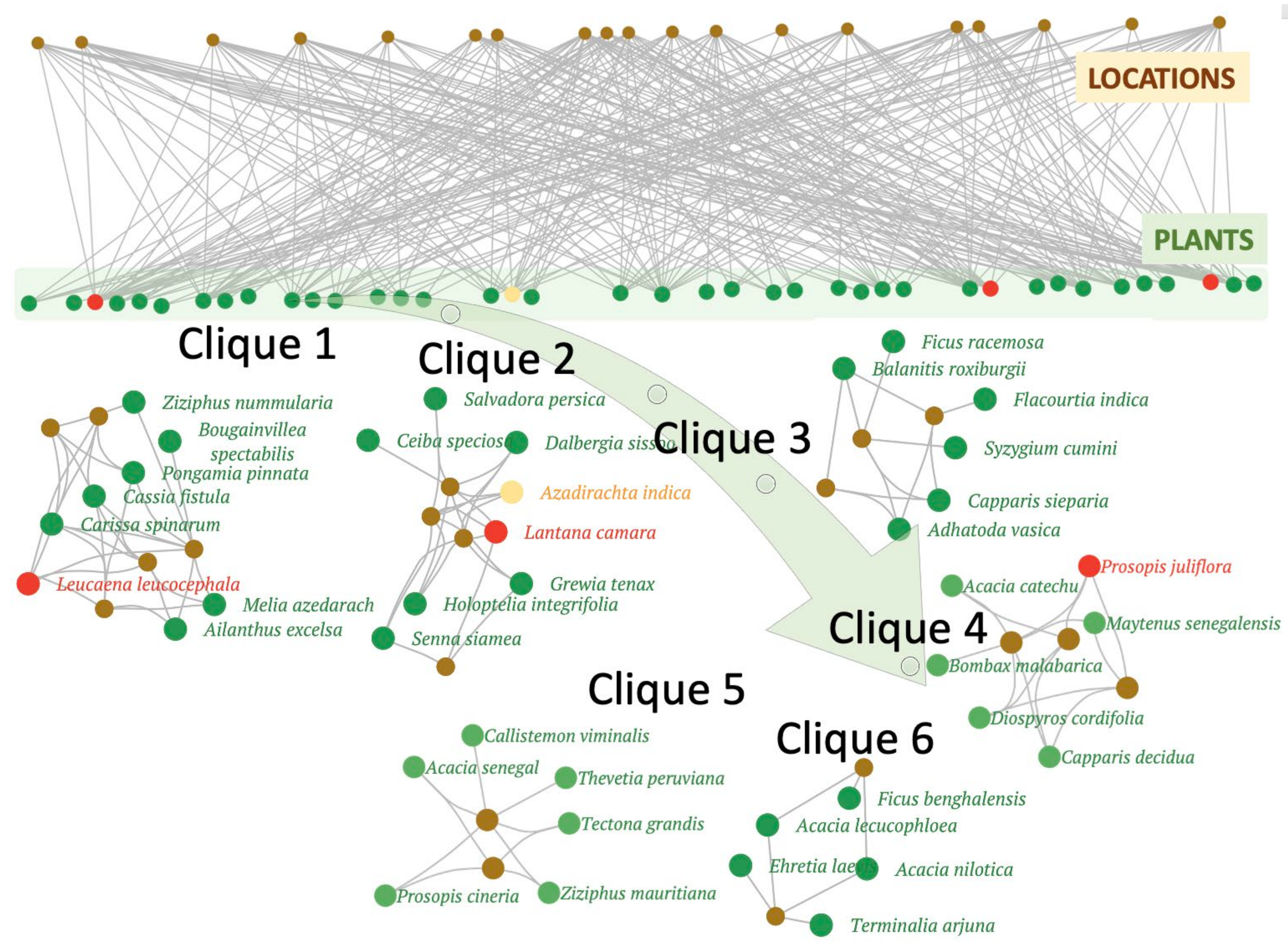Plants 11 00541 g006