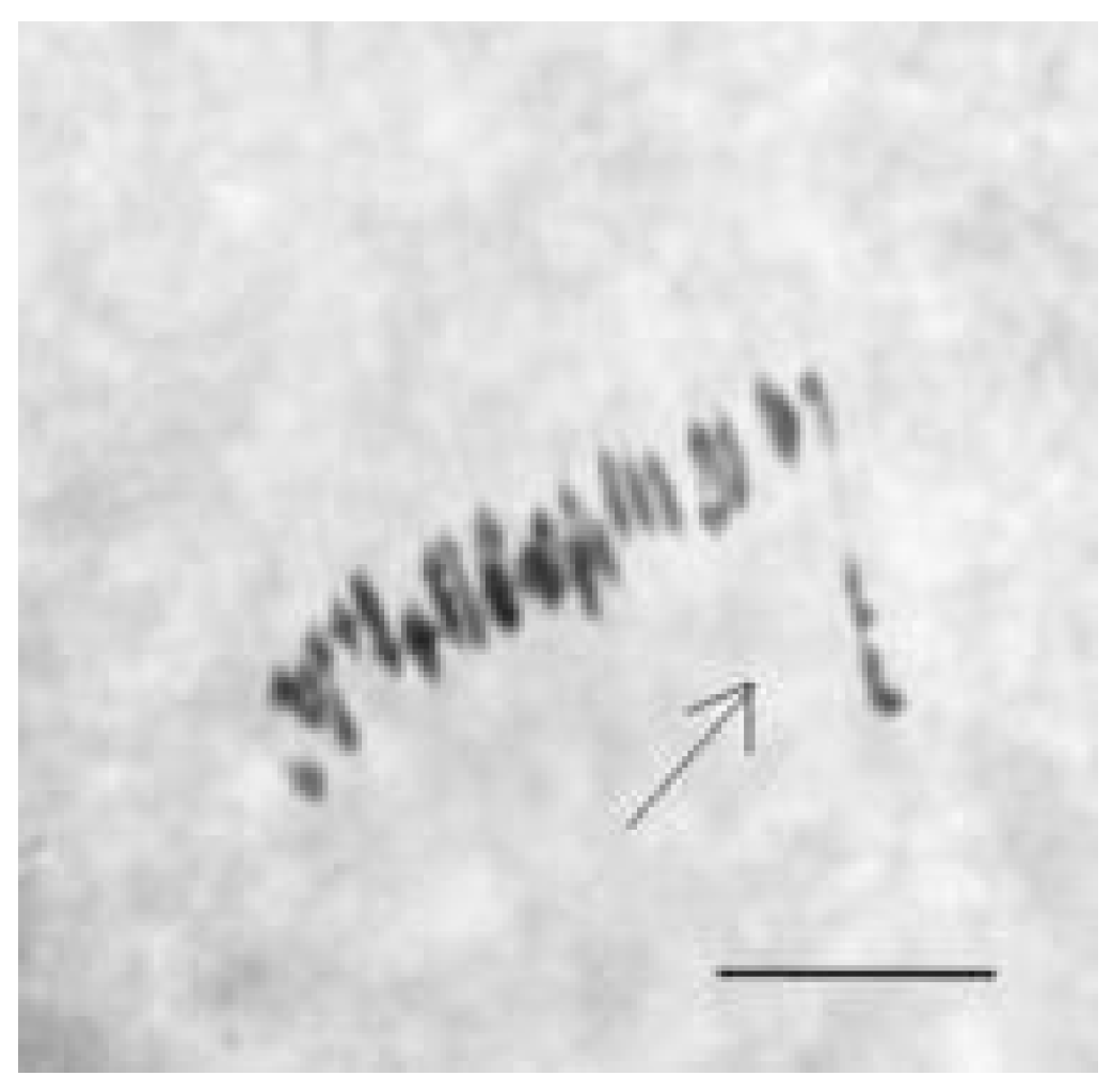 Plants 11 00542 g005