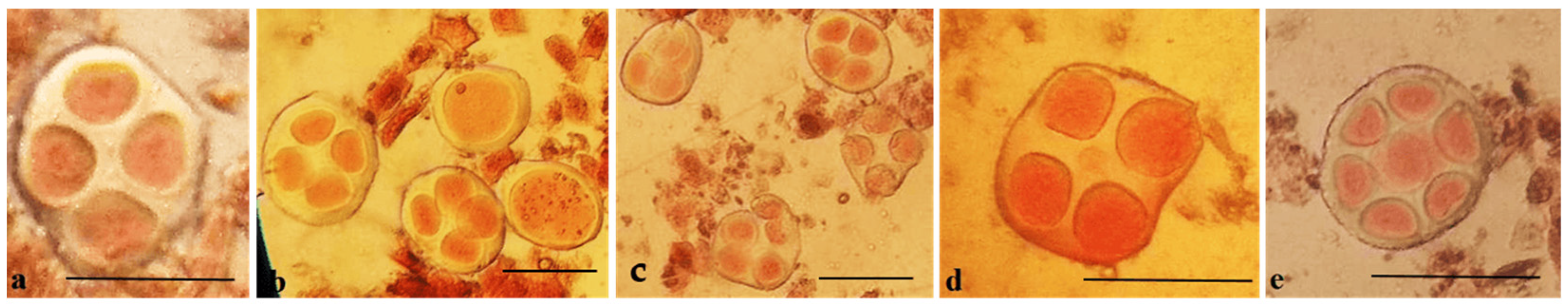 Plants 11 00542 g009