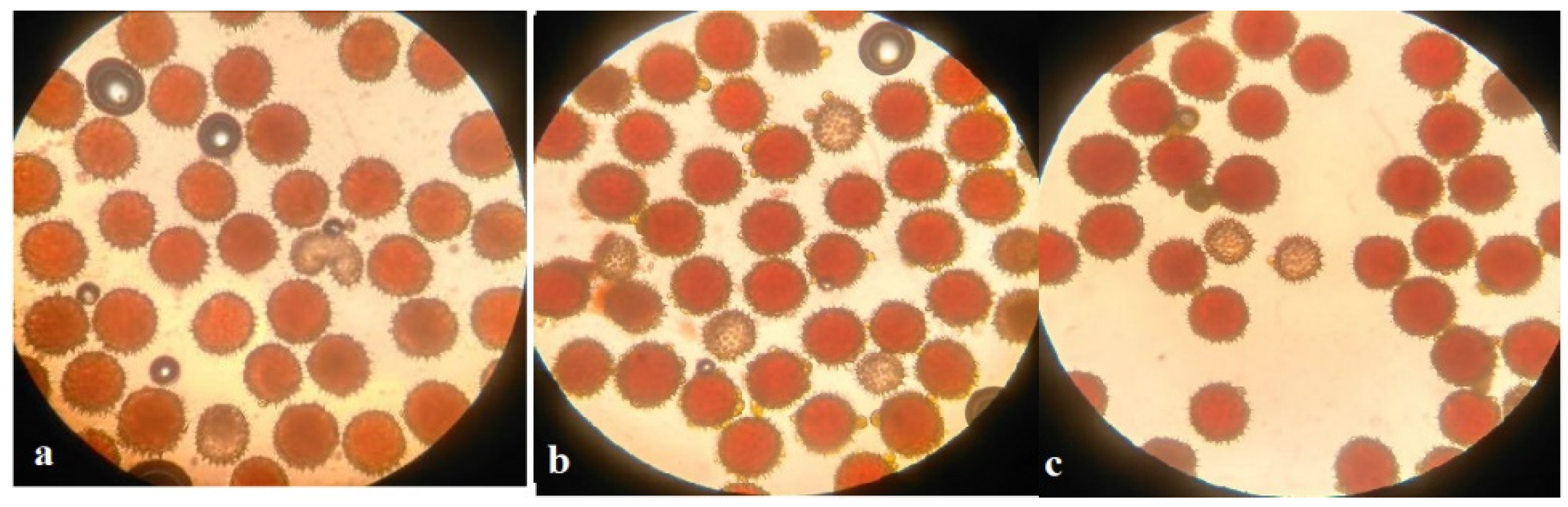 Plants 11 00542 g010