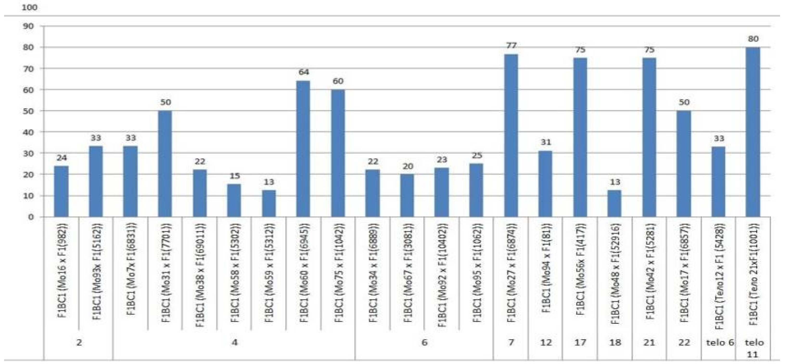 Plants 11 00542 g020