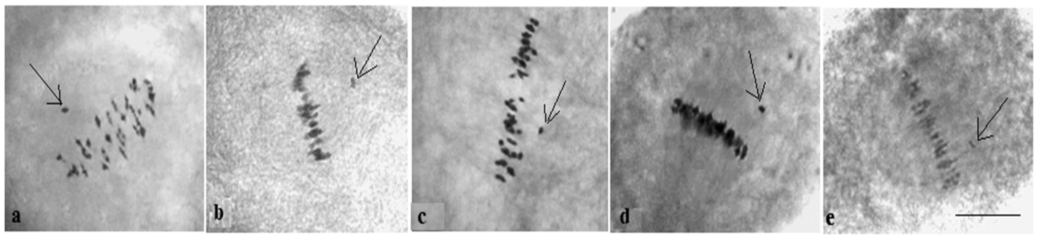 Plants 11 00542 g023