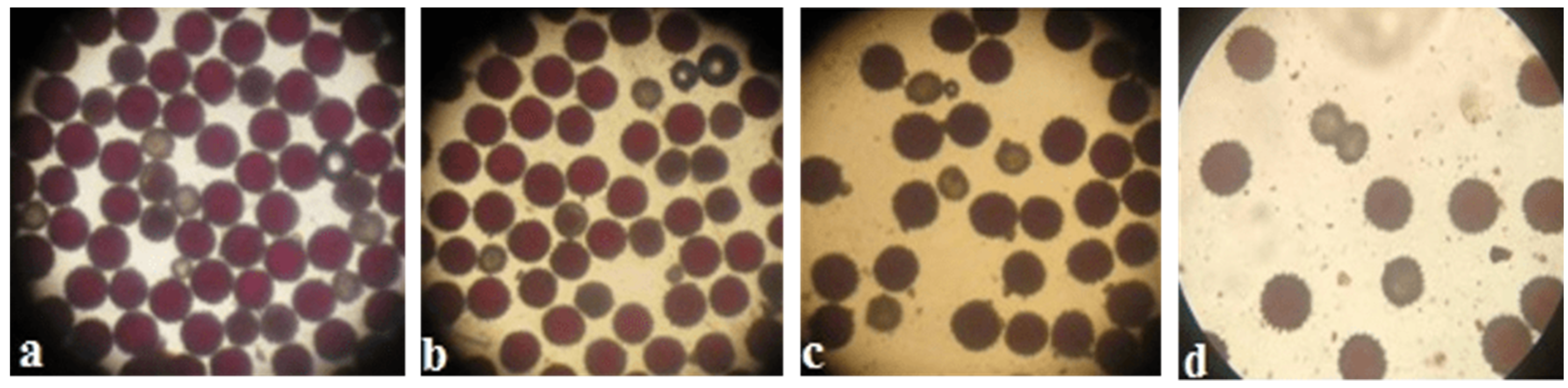 Plants 11 00542 g026