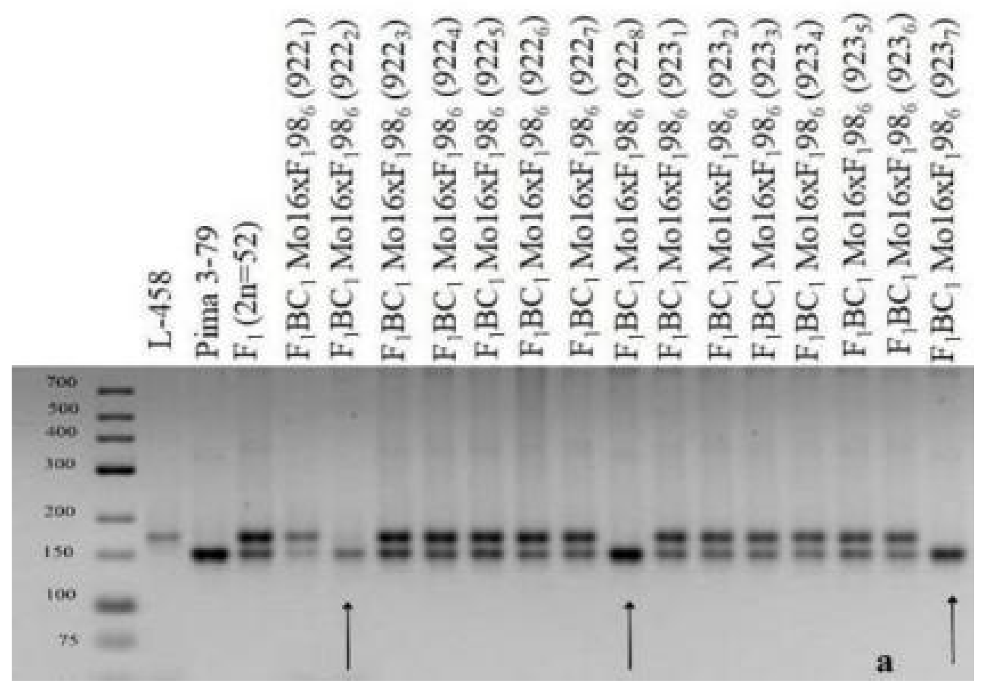 Plants 11 00542 g027