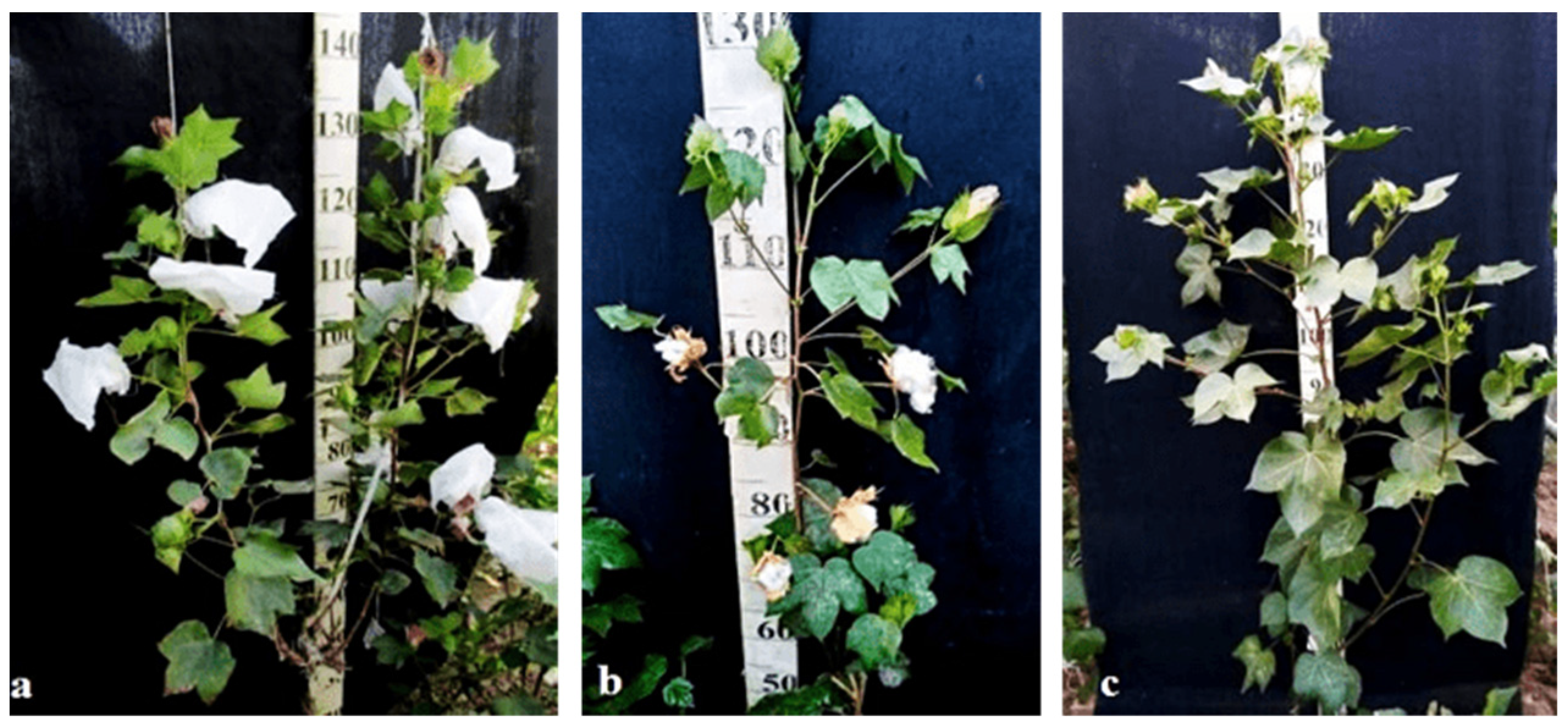 Plants 11 00542 g034