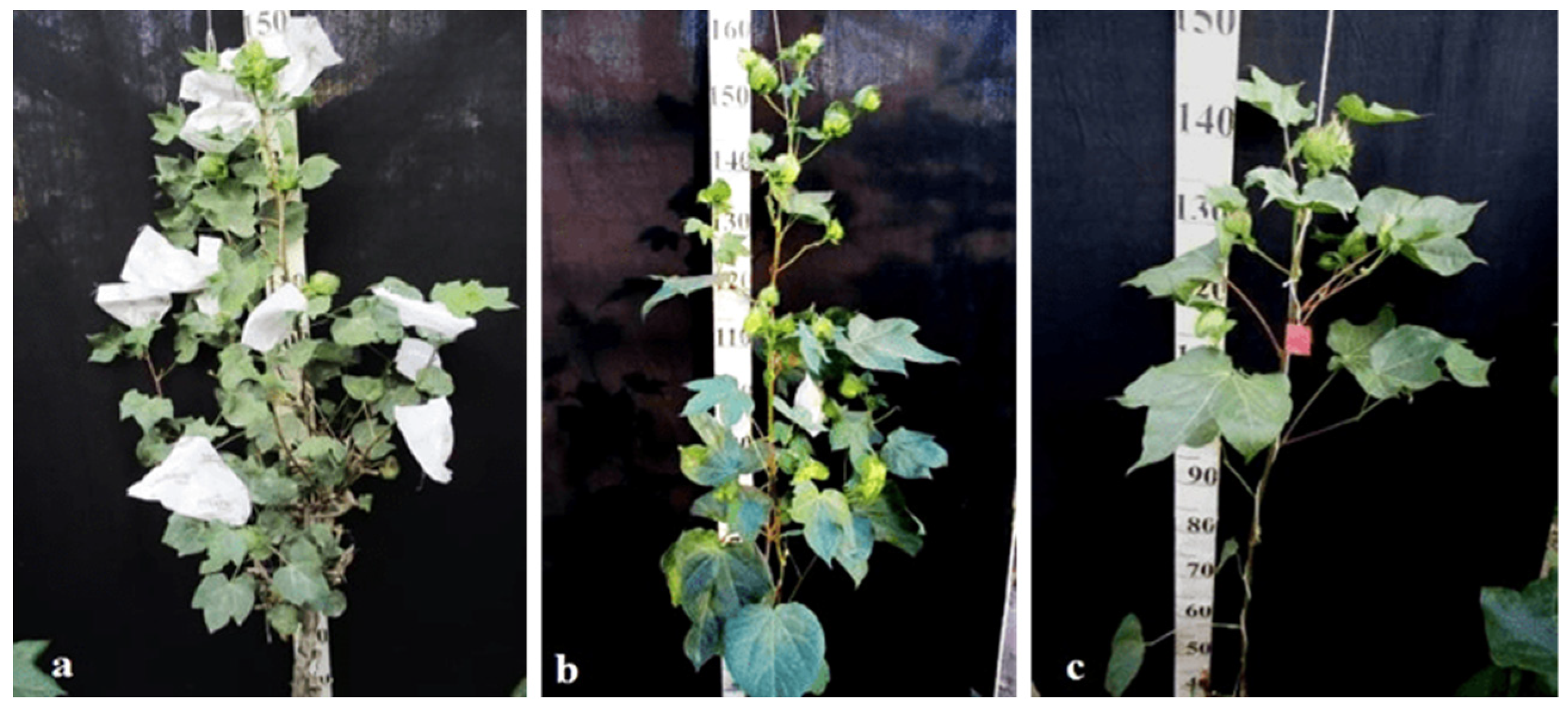 Plants 11 00542 g035