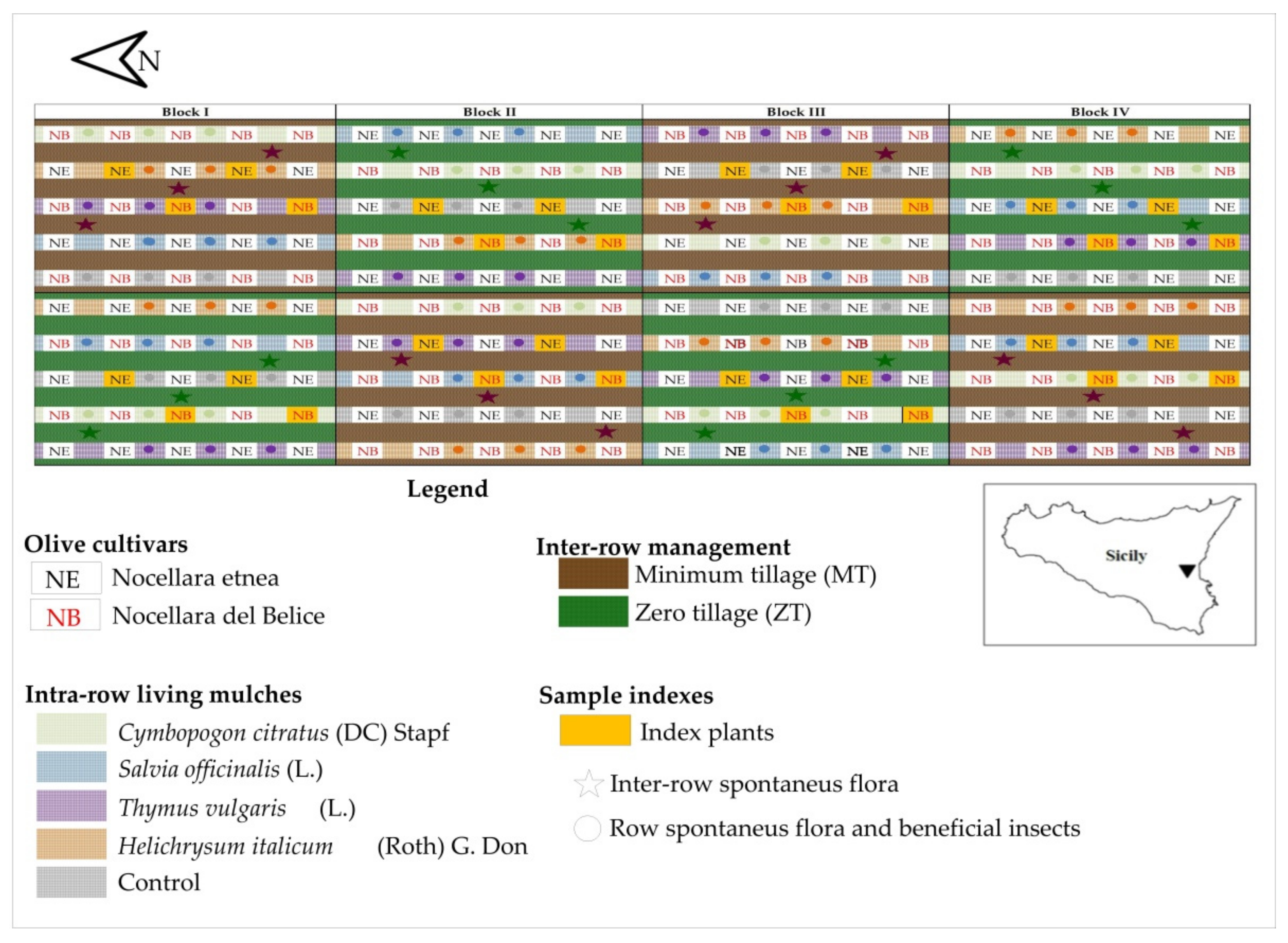 Plants 11 00545 g005