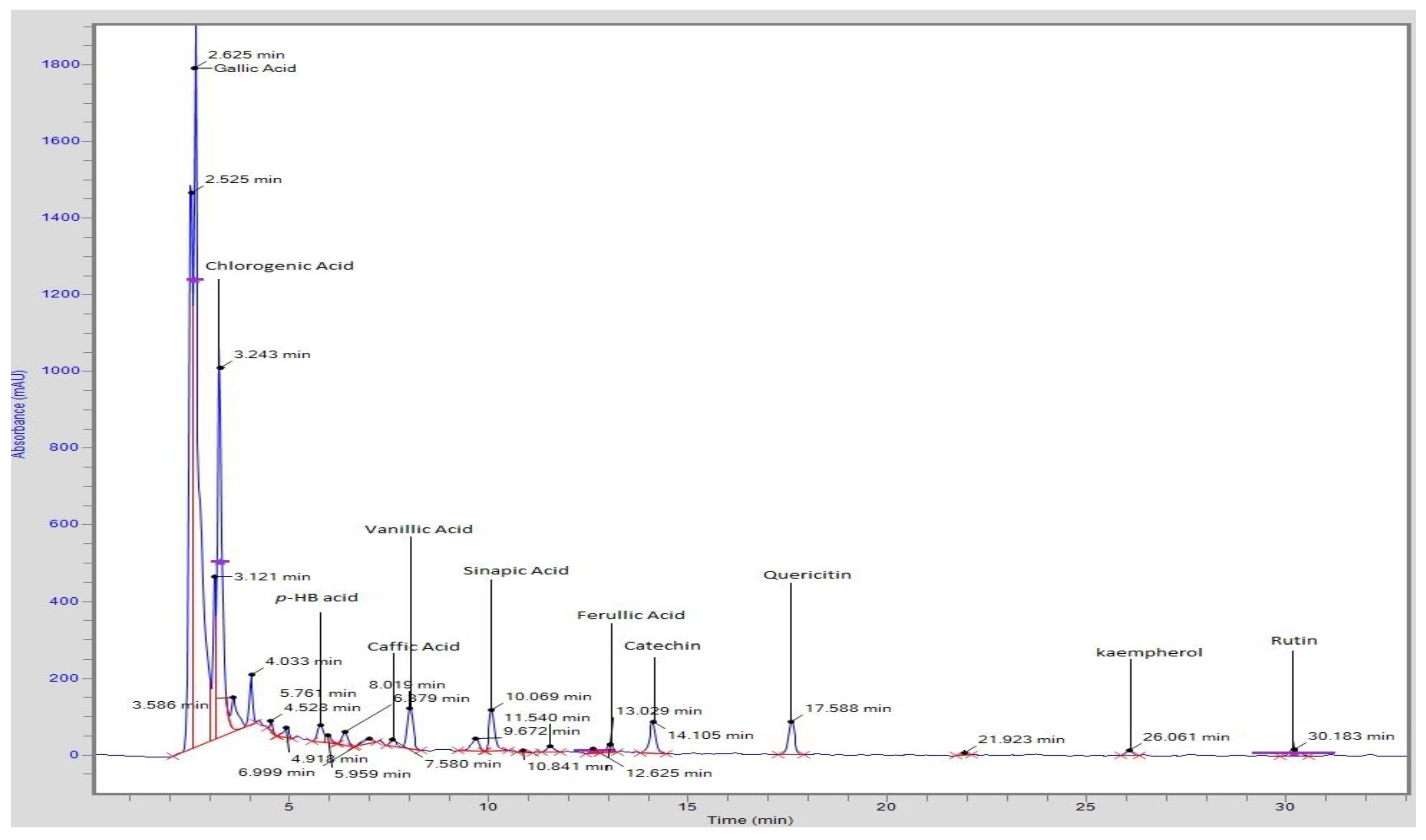 Plants 11 00551 g001