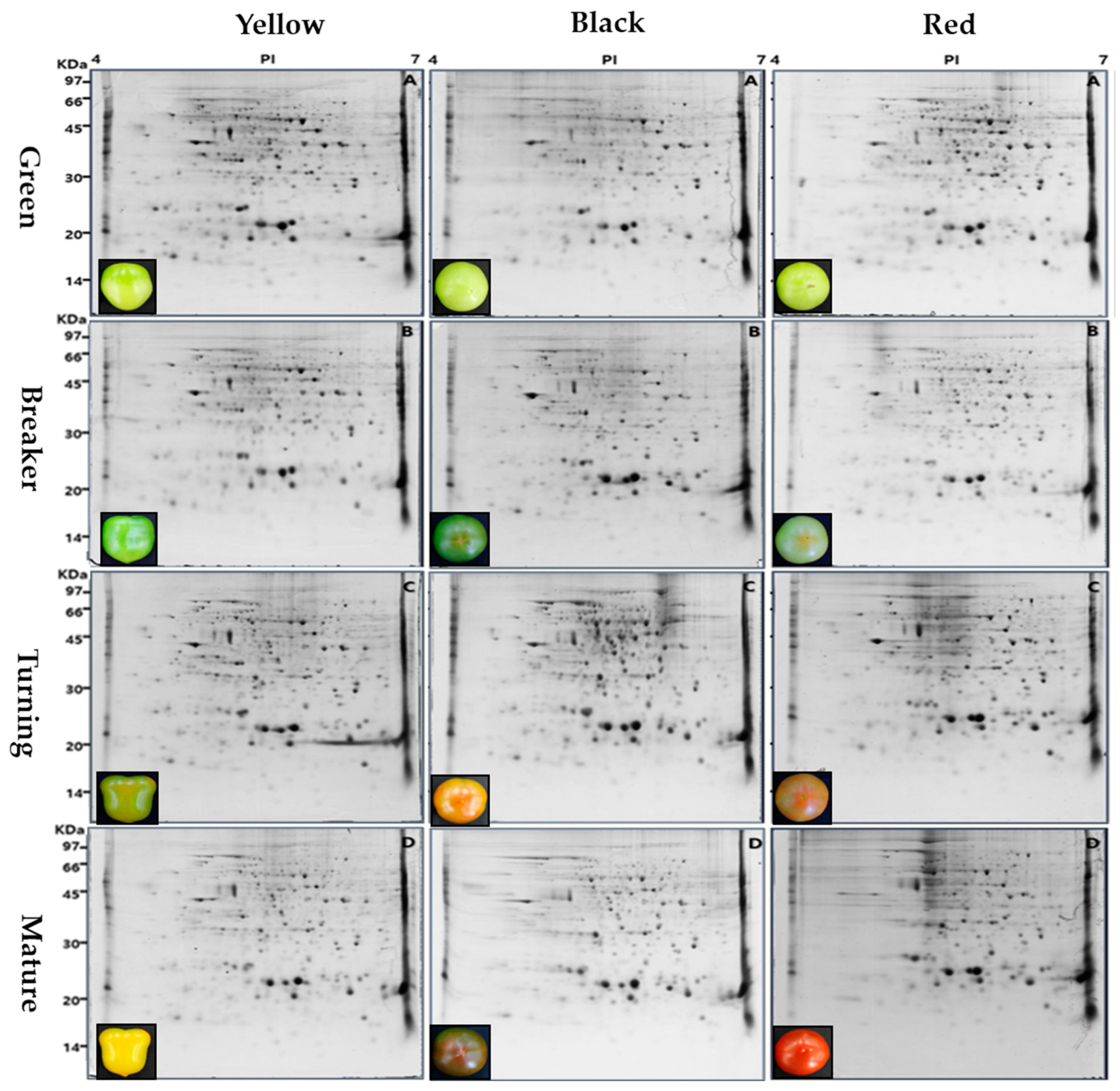 Plants 11 00553 g001 550