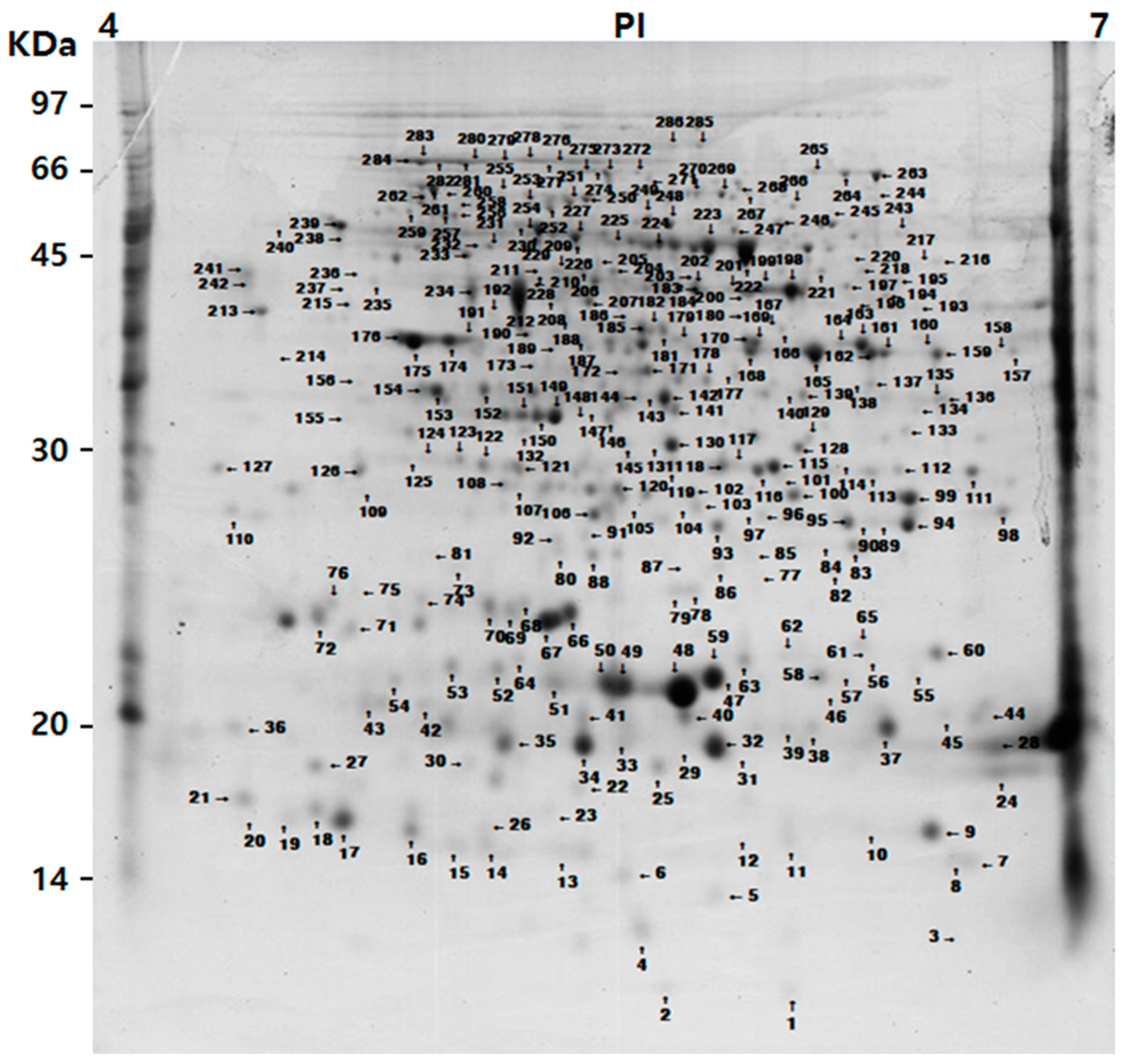 Plants 11 00553 g002 550