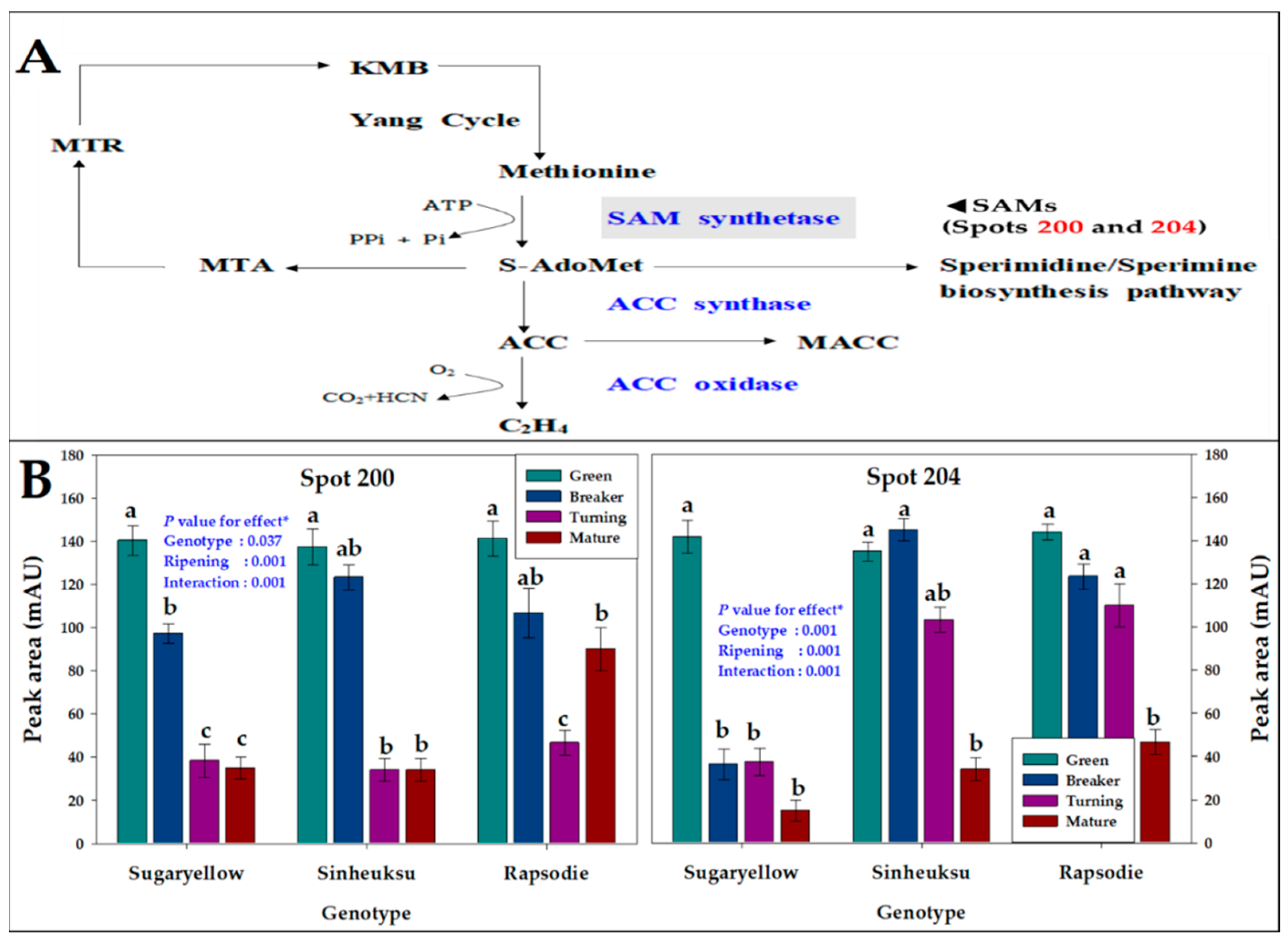 Plants 11 00553 g006 550