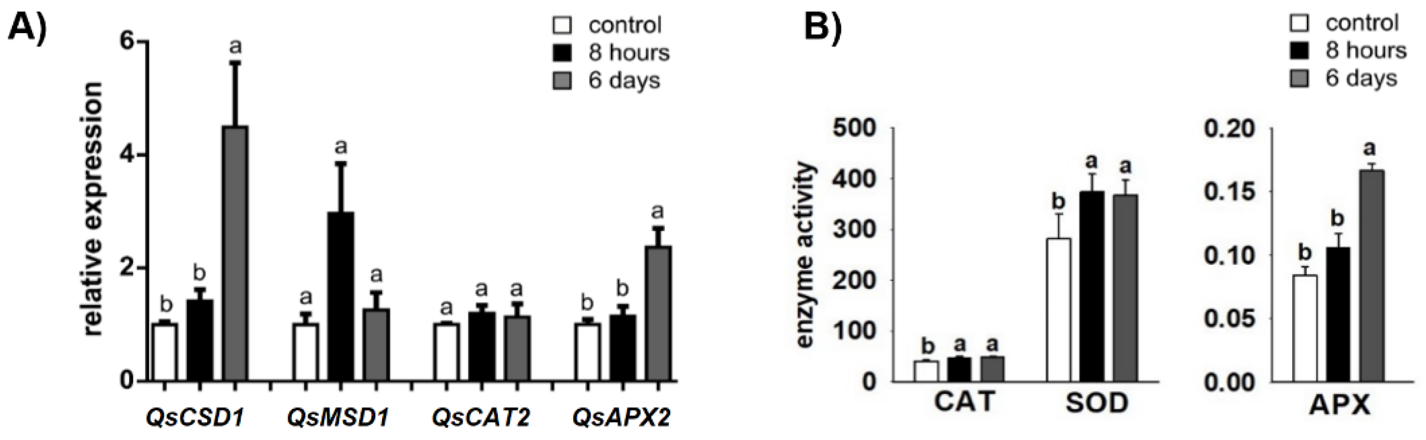 Plants 11 00557 g002