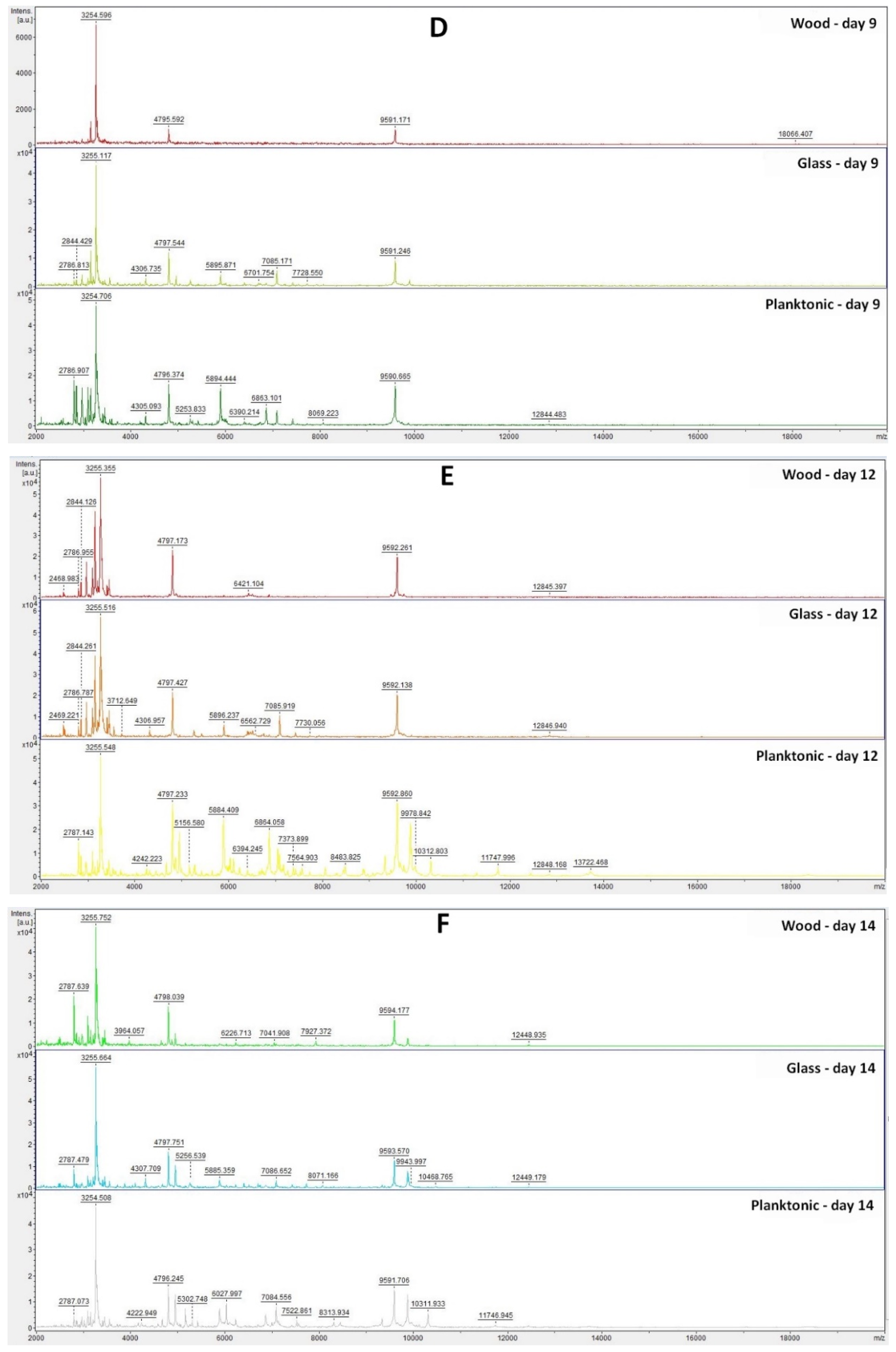 Plants 11 00558 g001b 550