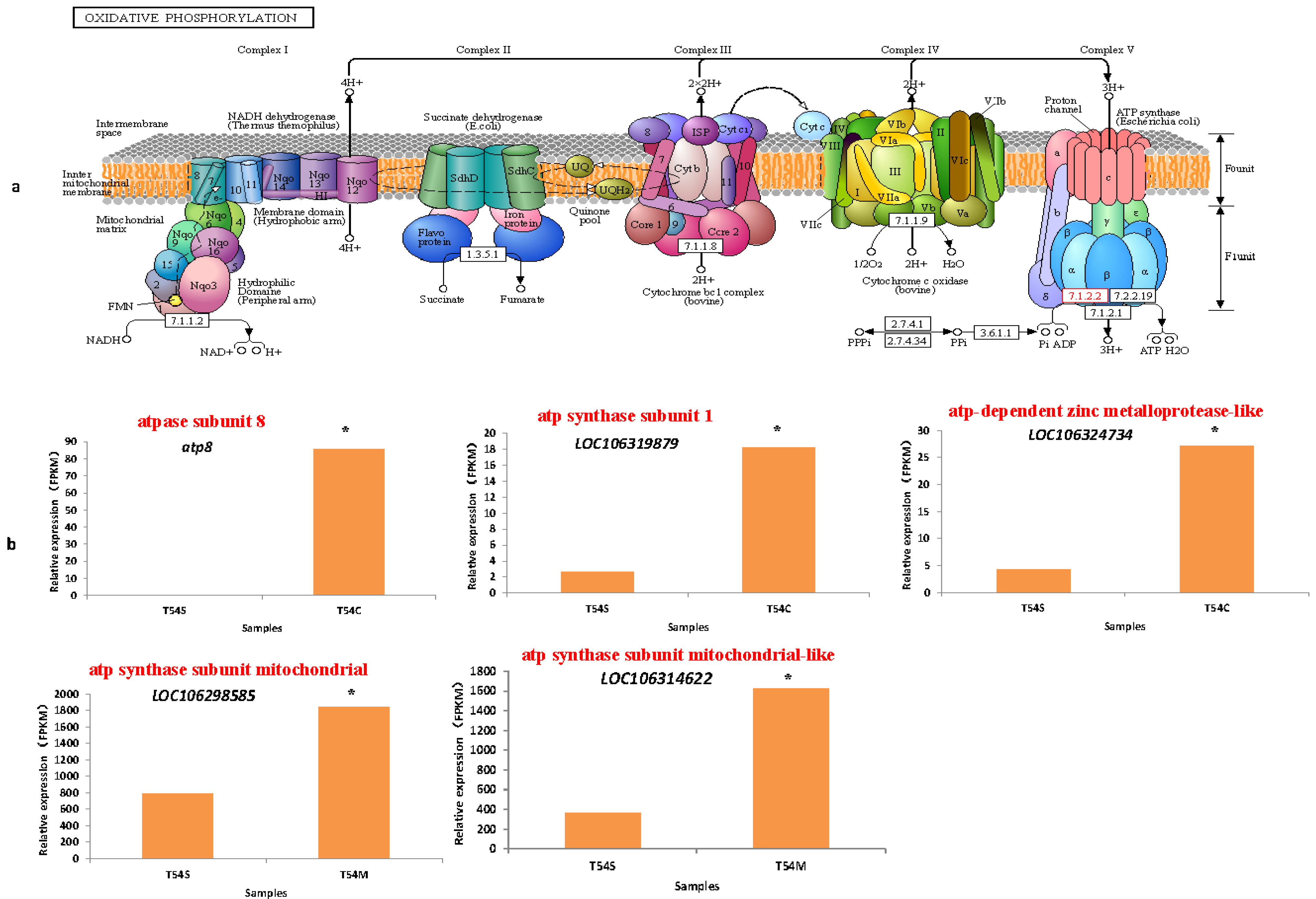 Plants 11 00561 g004