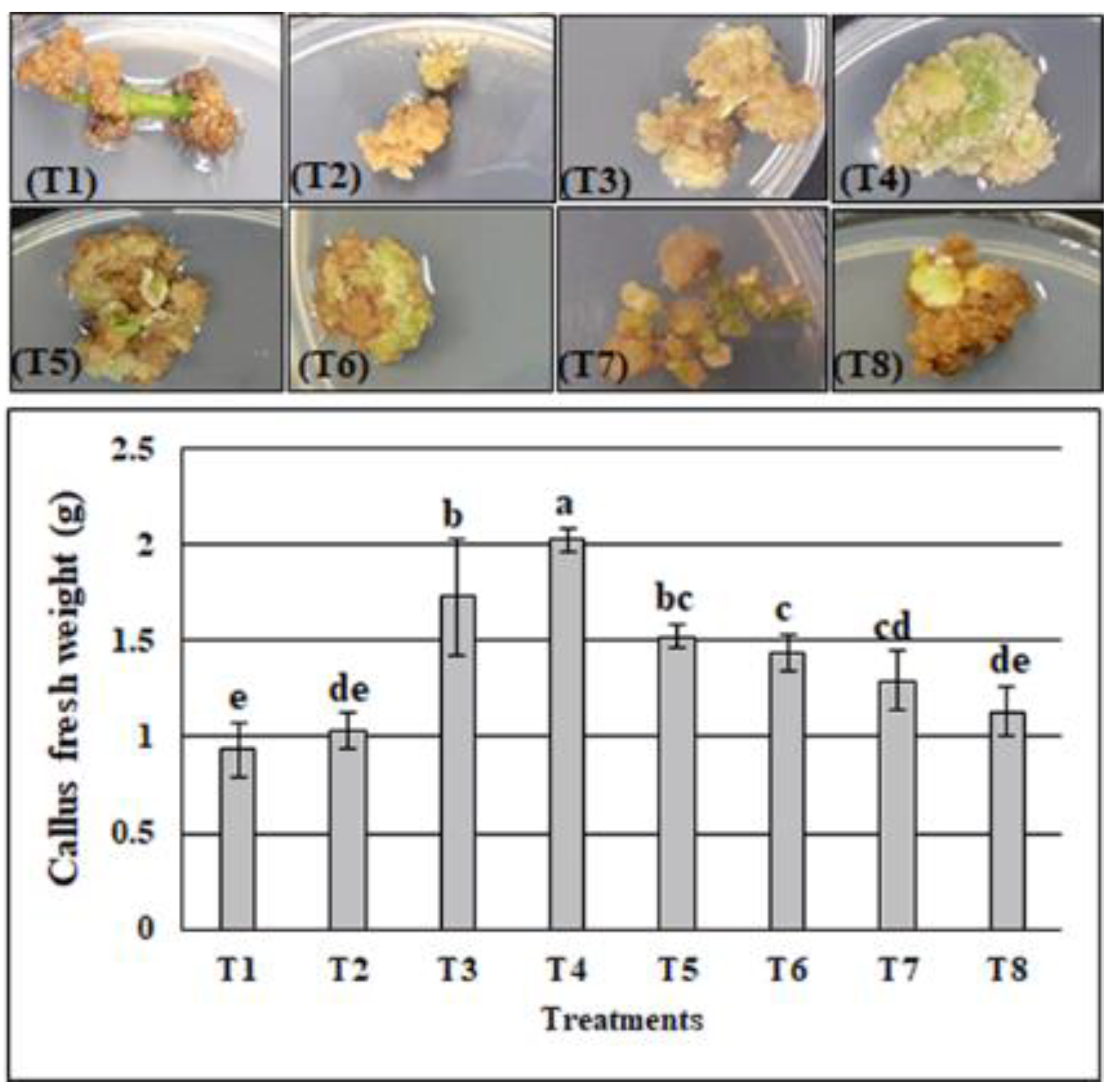 Plants 11 00567 g002 Plants 11 00567 g002