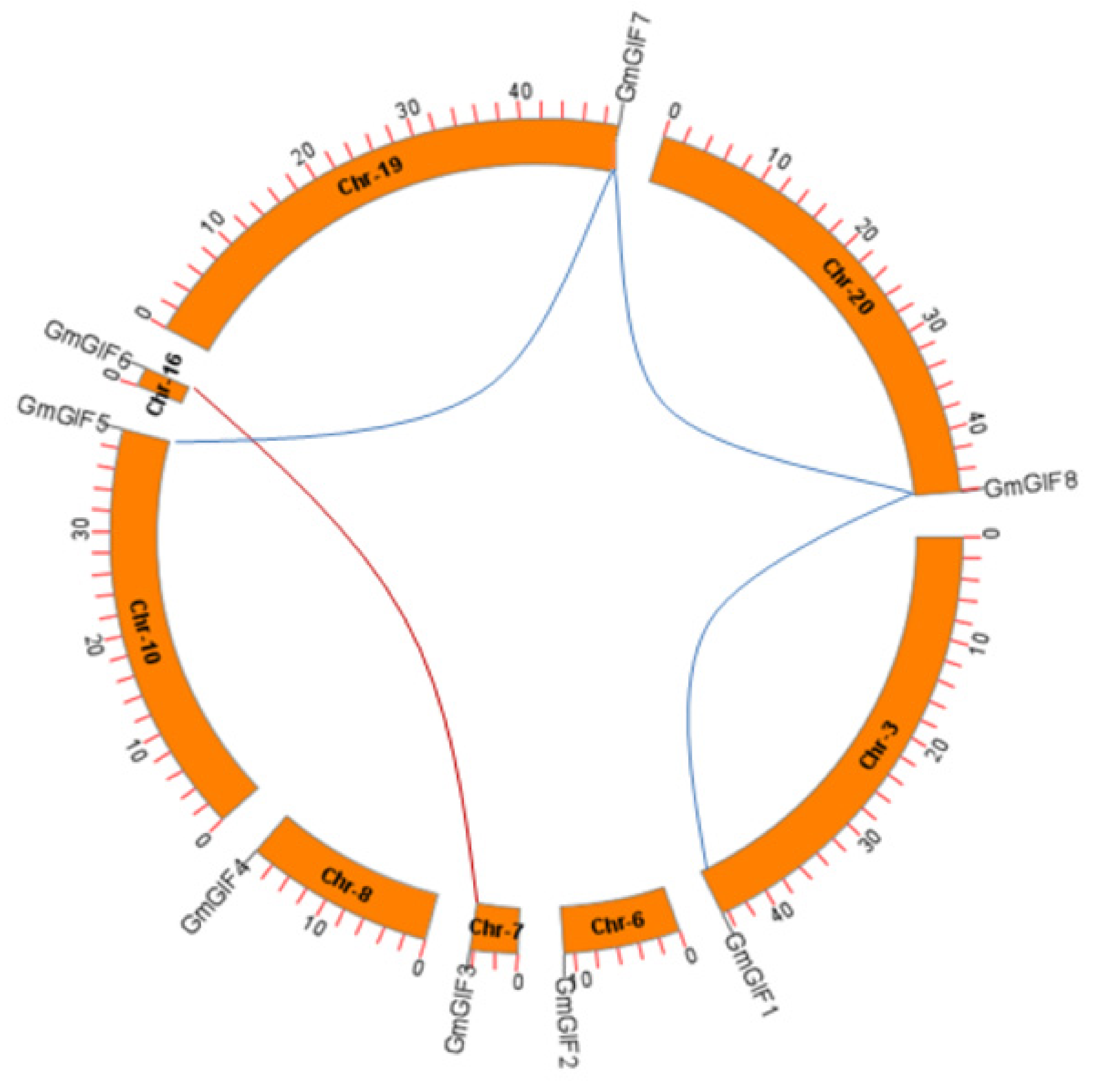 Plants 11 00570 g003