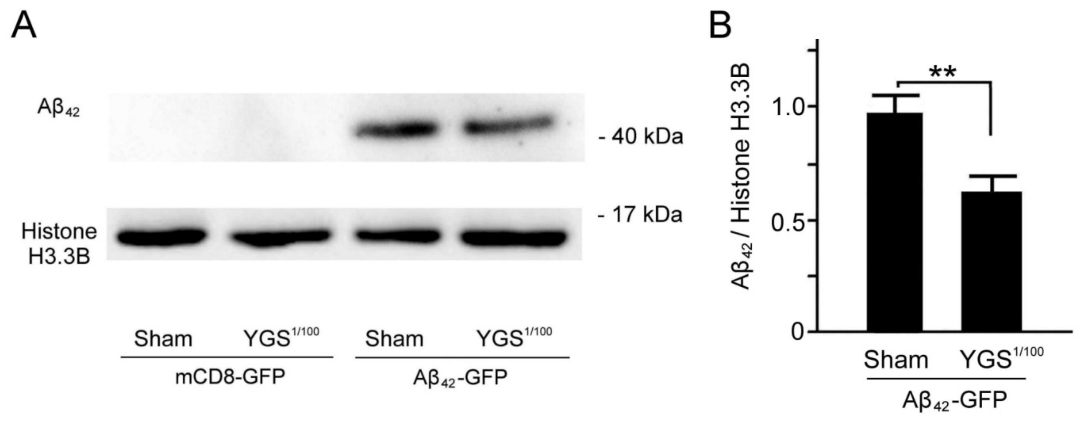 Plants 11 00572 g007