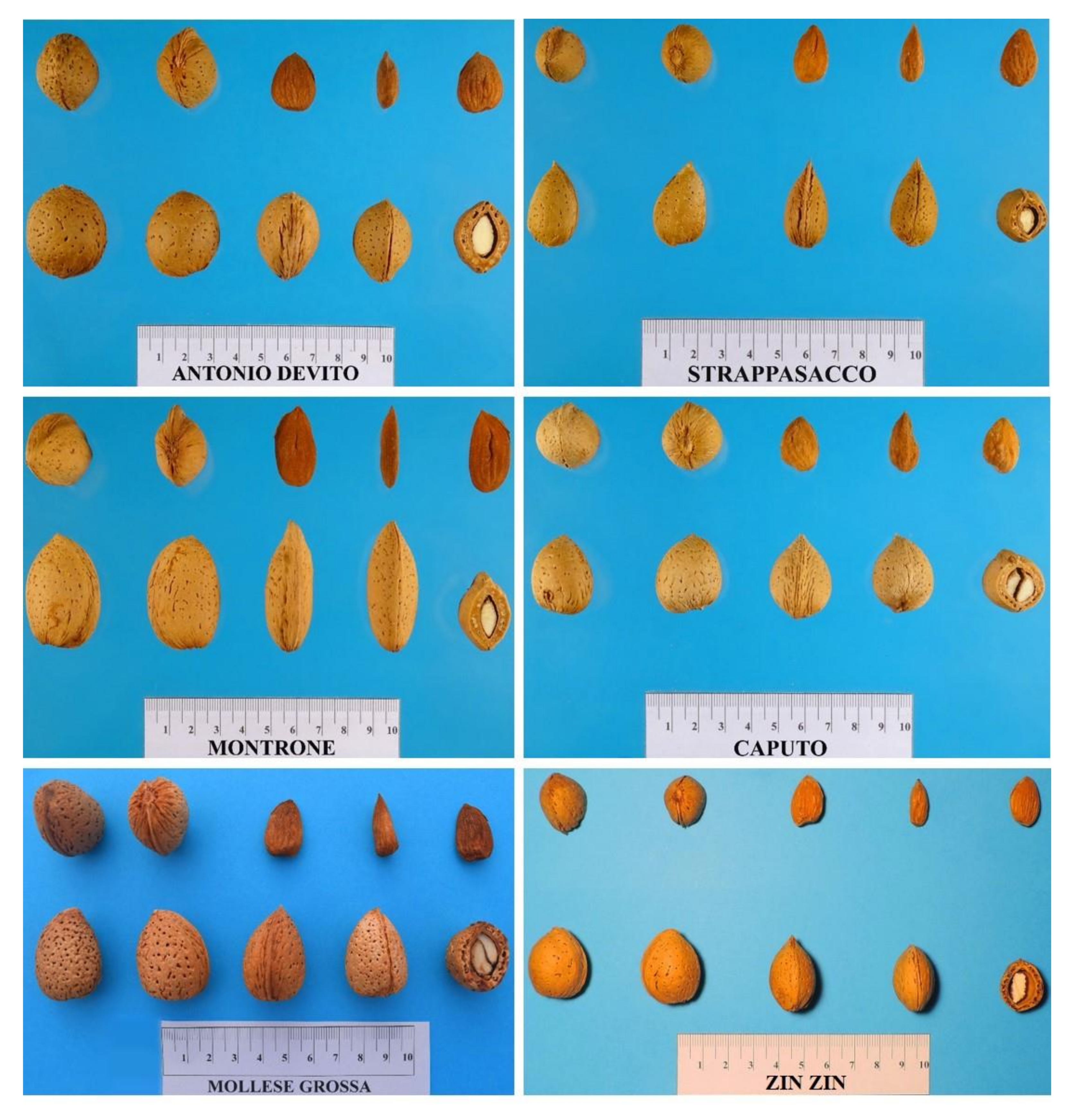 Plants 11 00574 g005 Plants 11 00574 g005