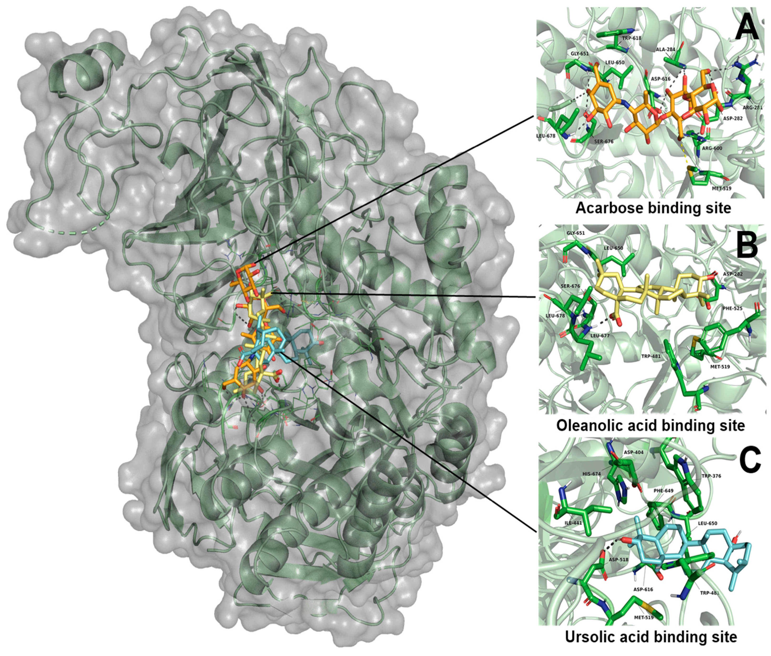 Plants 11 00575 g006 Plants 11 00575 g006