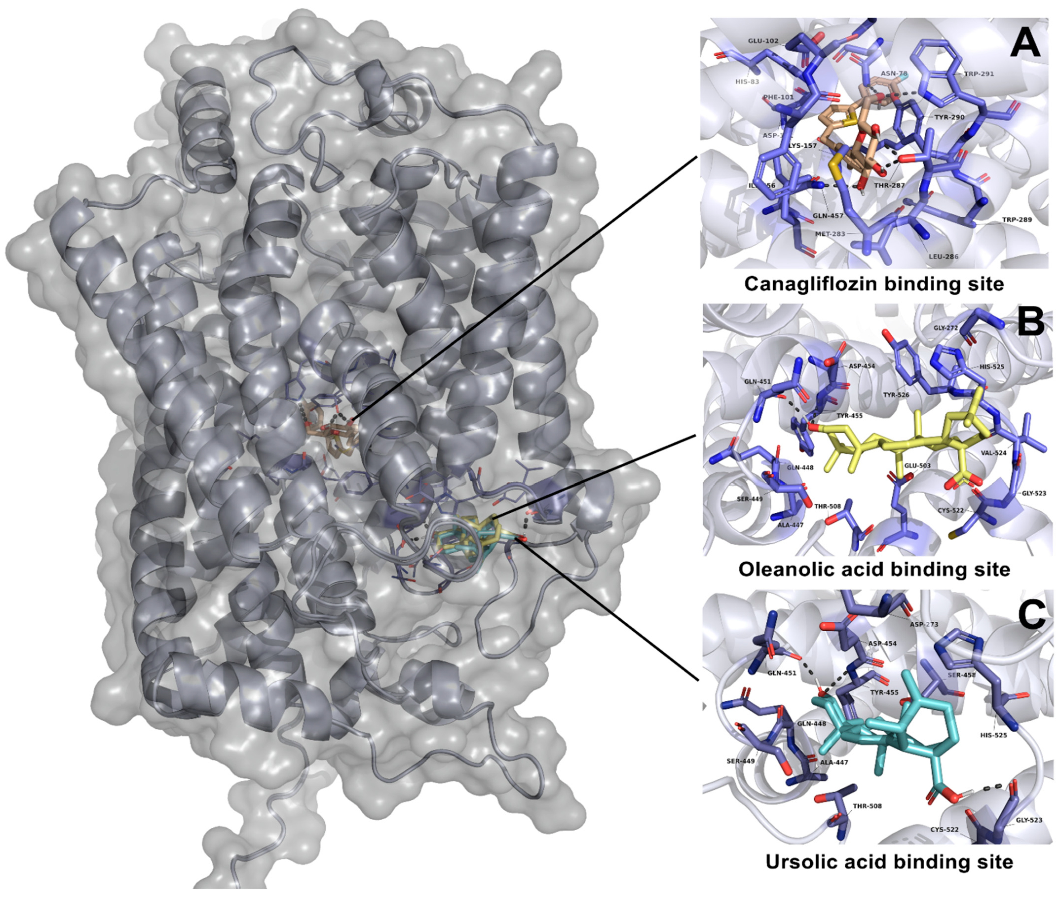 Plants 11 00575 g007 Plants 11 00575 g007