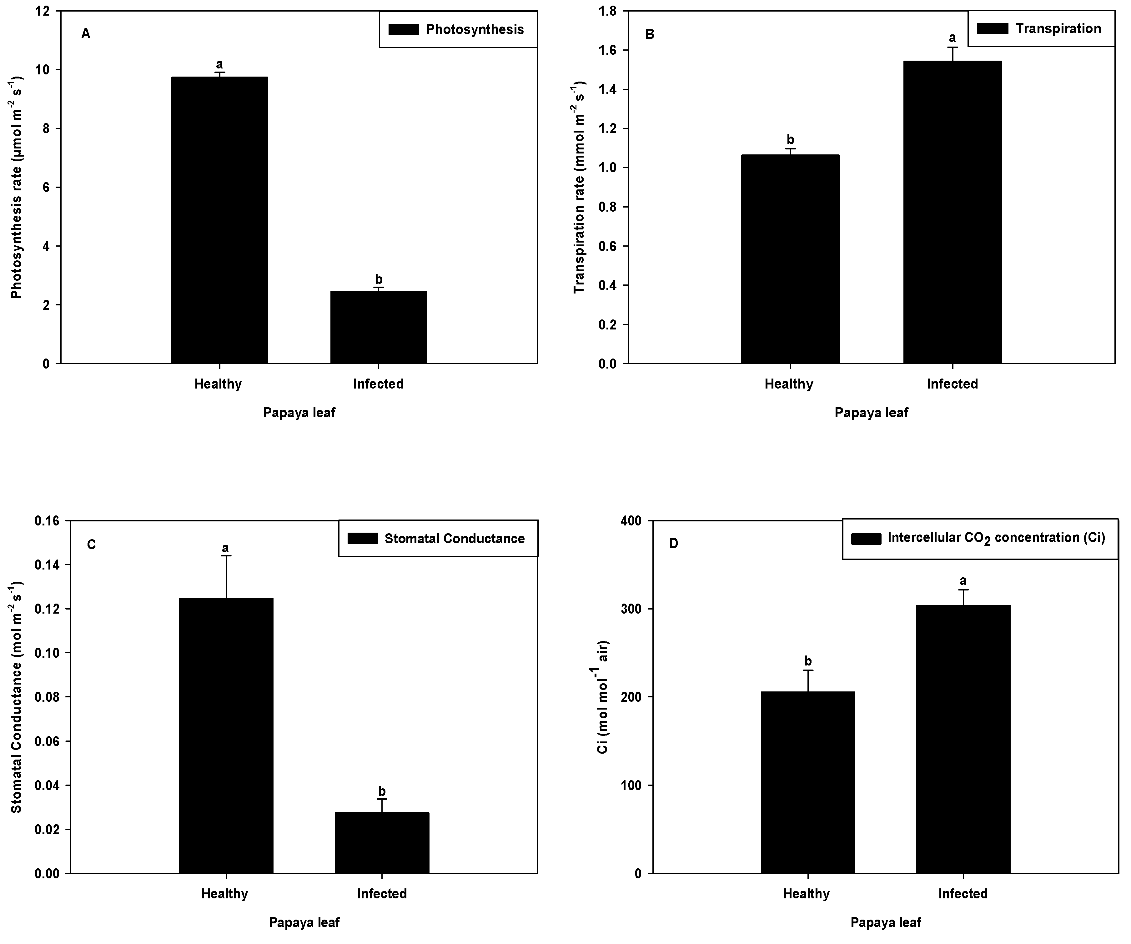 Plants 11 00579 g004